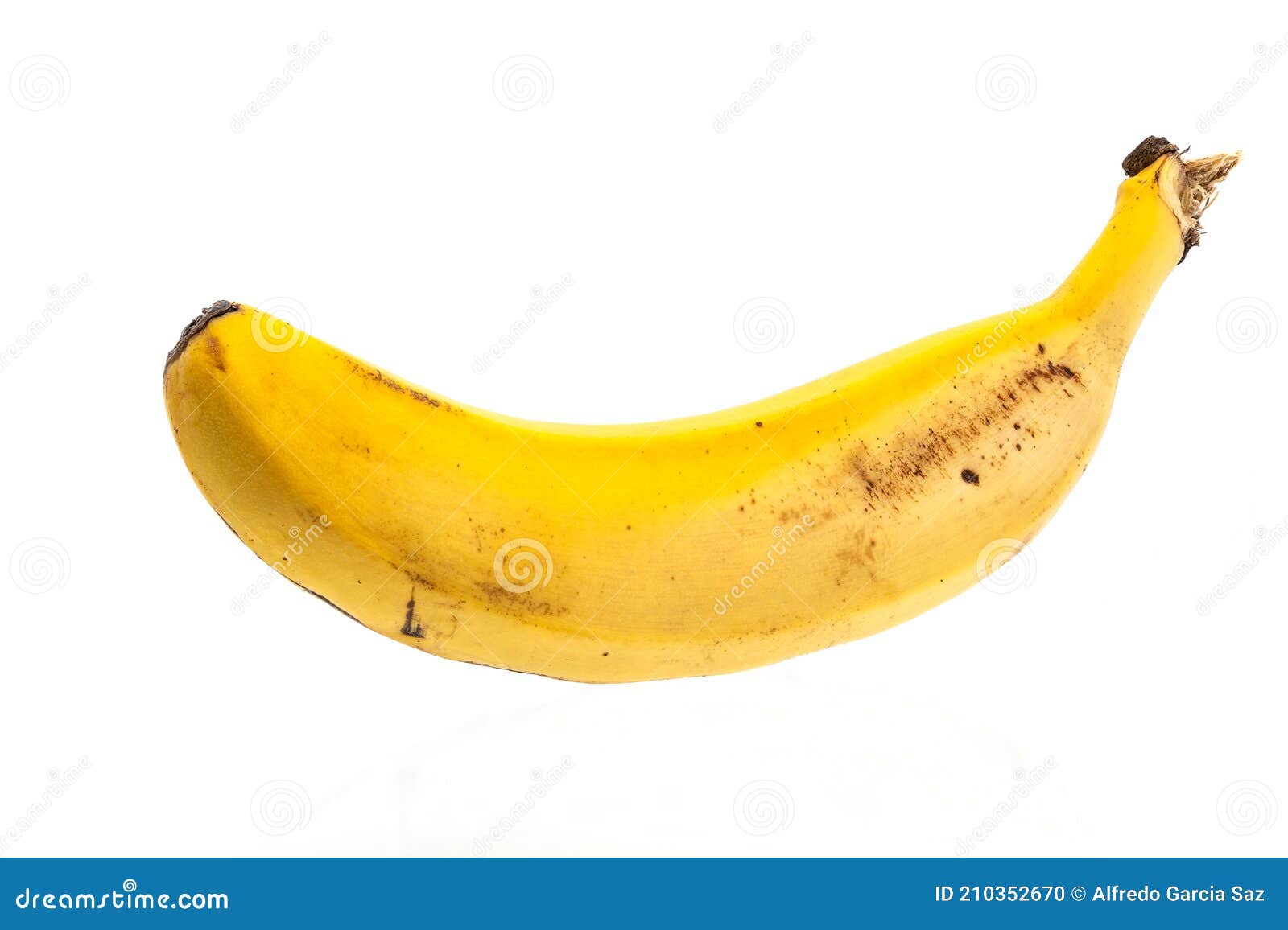 a single banana type platano de canarias  on white background