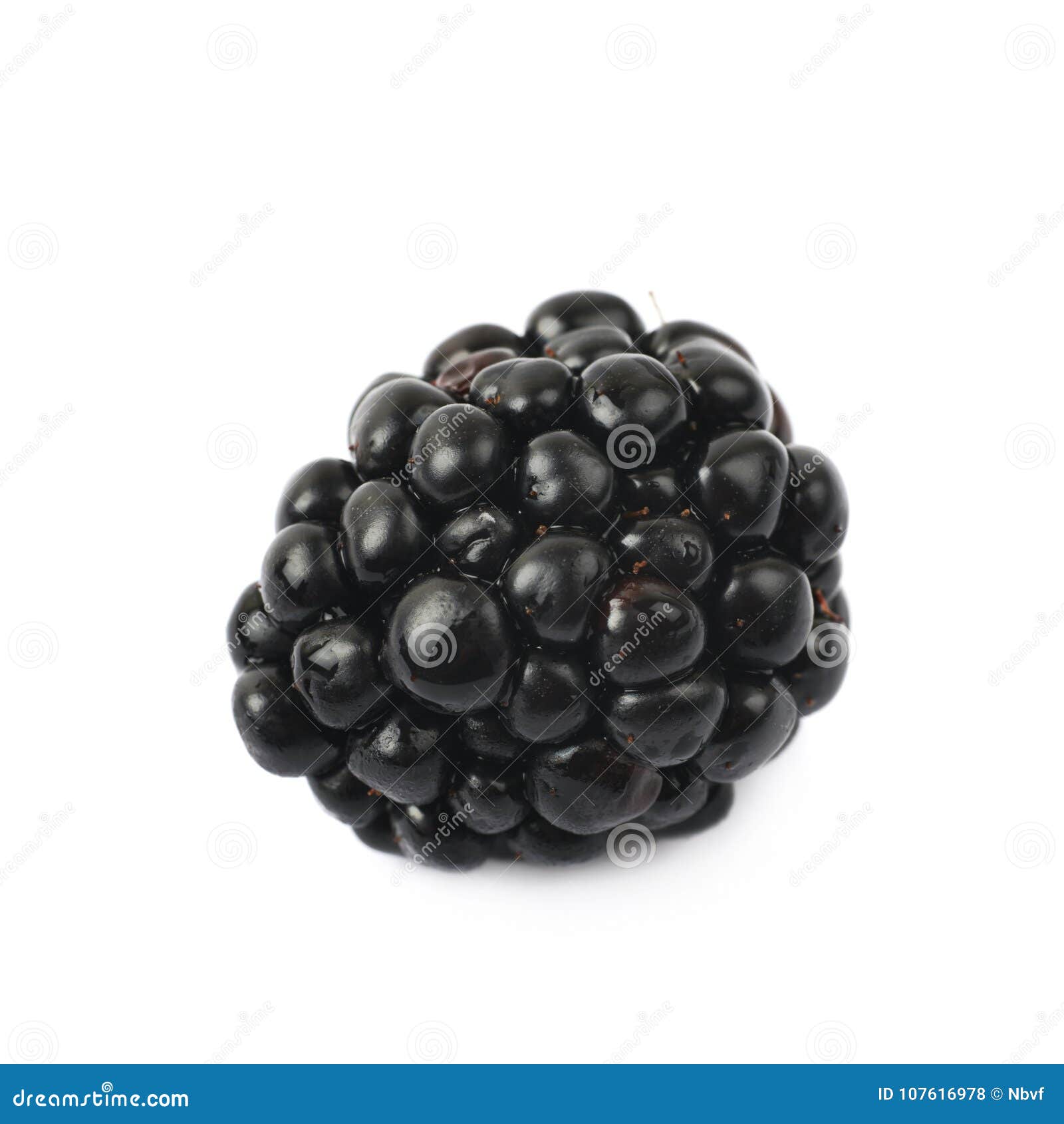 Single Blackberry Fruit Isolated Stock Photo - Image of berry, object ...