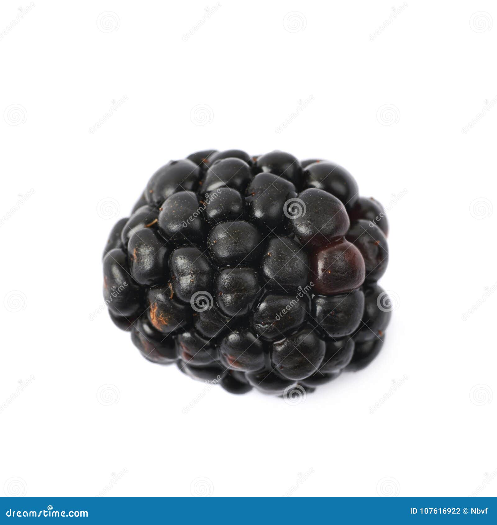 Single Blackberry Fruit Isolated Stock Photo - Image of freshness ...