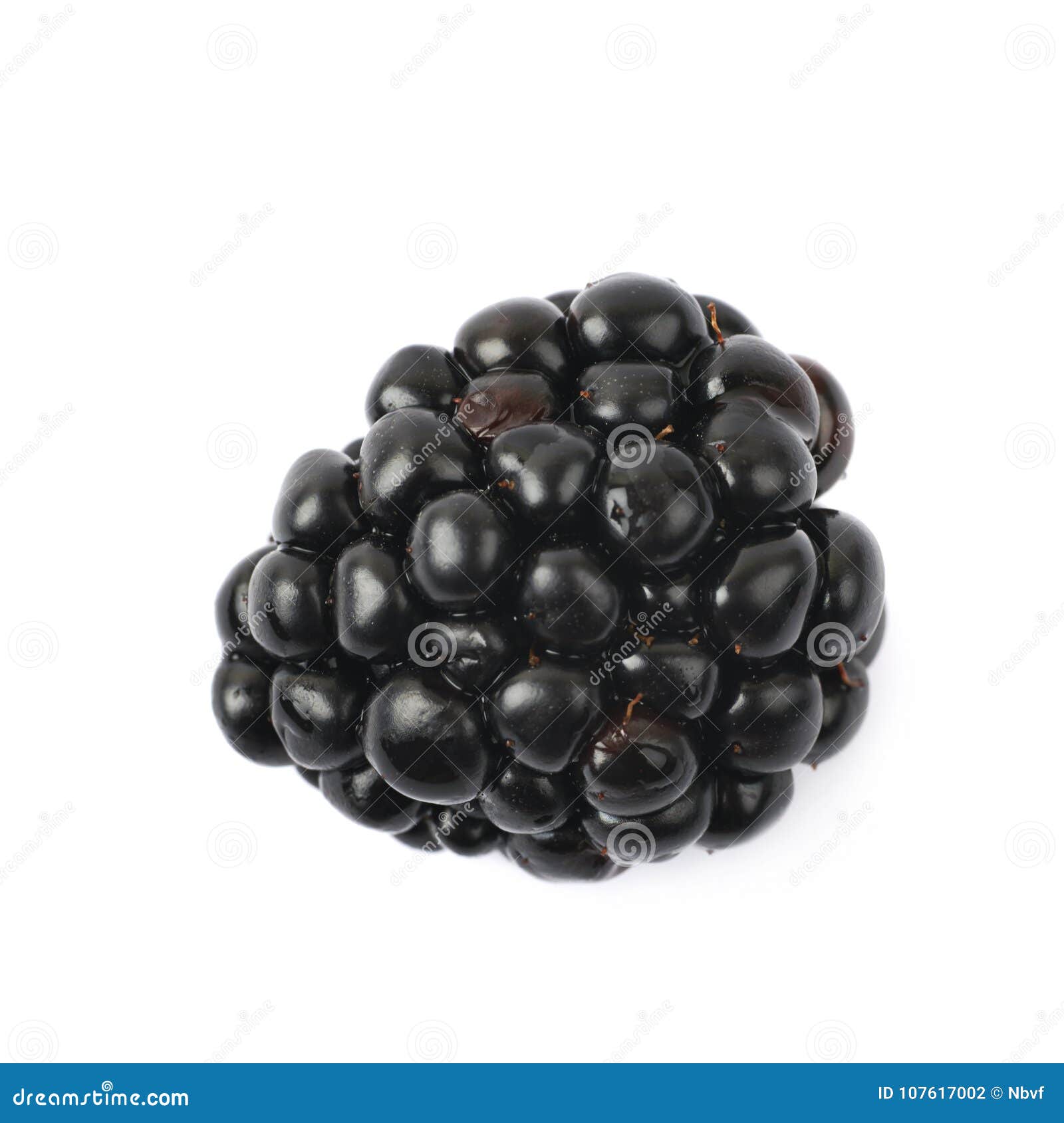 Single Blackberry Fruit Isolated Stock Photo - Image of group, berry ...