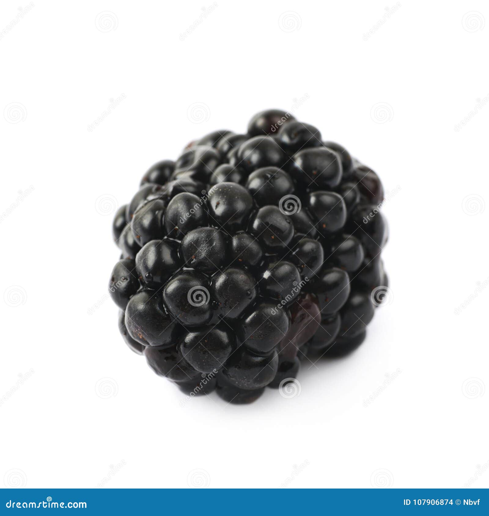 Single Blackberry Fruit Isolated Stock Photo - Image of background ...