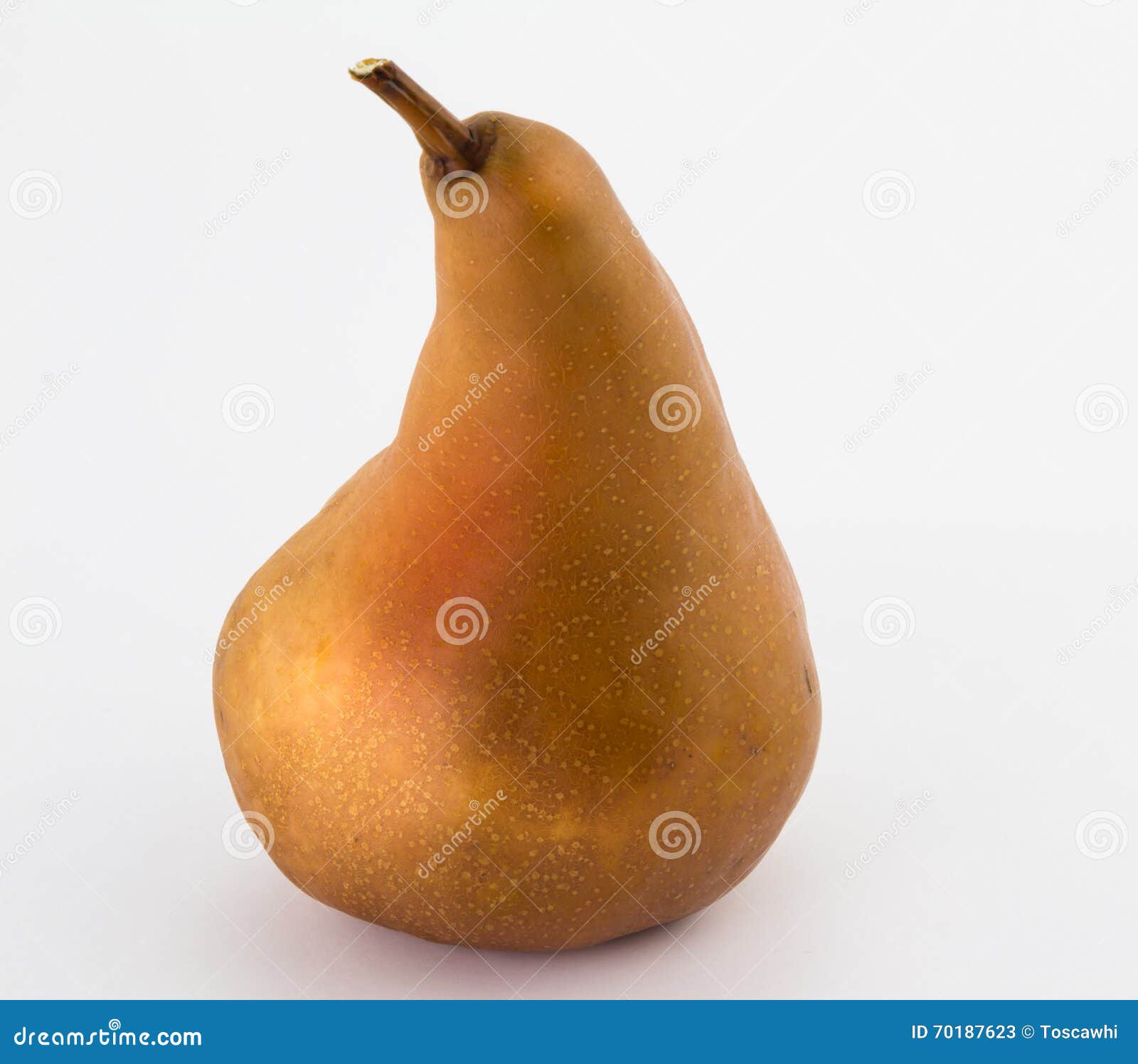 Single Bosc Pear Isolated on White Stock Image Image of fruit
