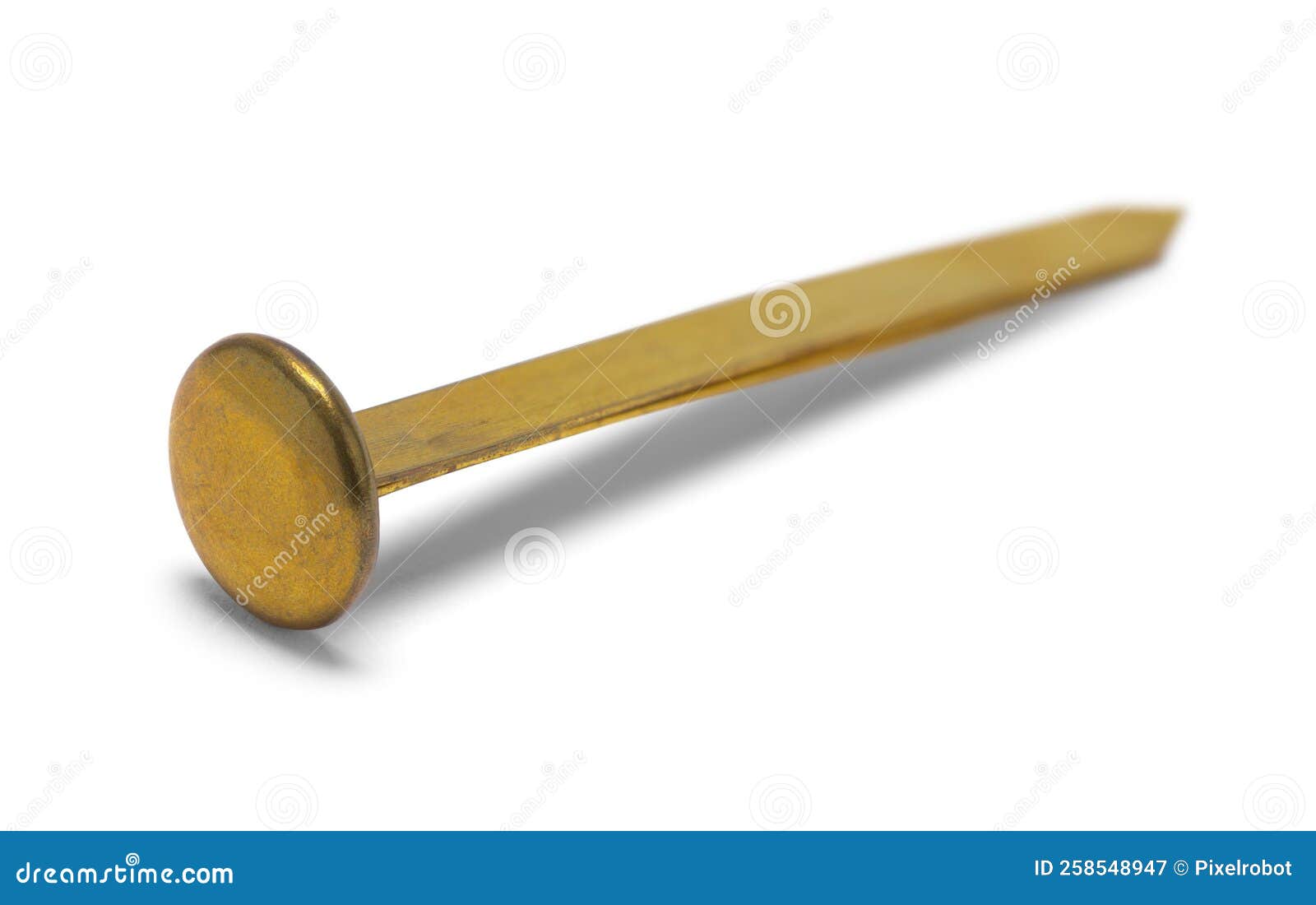 Single Brass Brad stock image. Image of metal, office 258548947