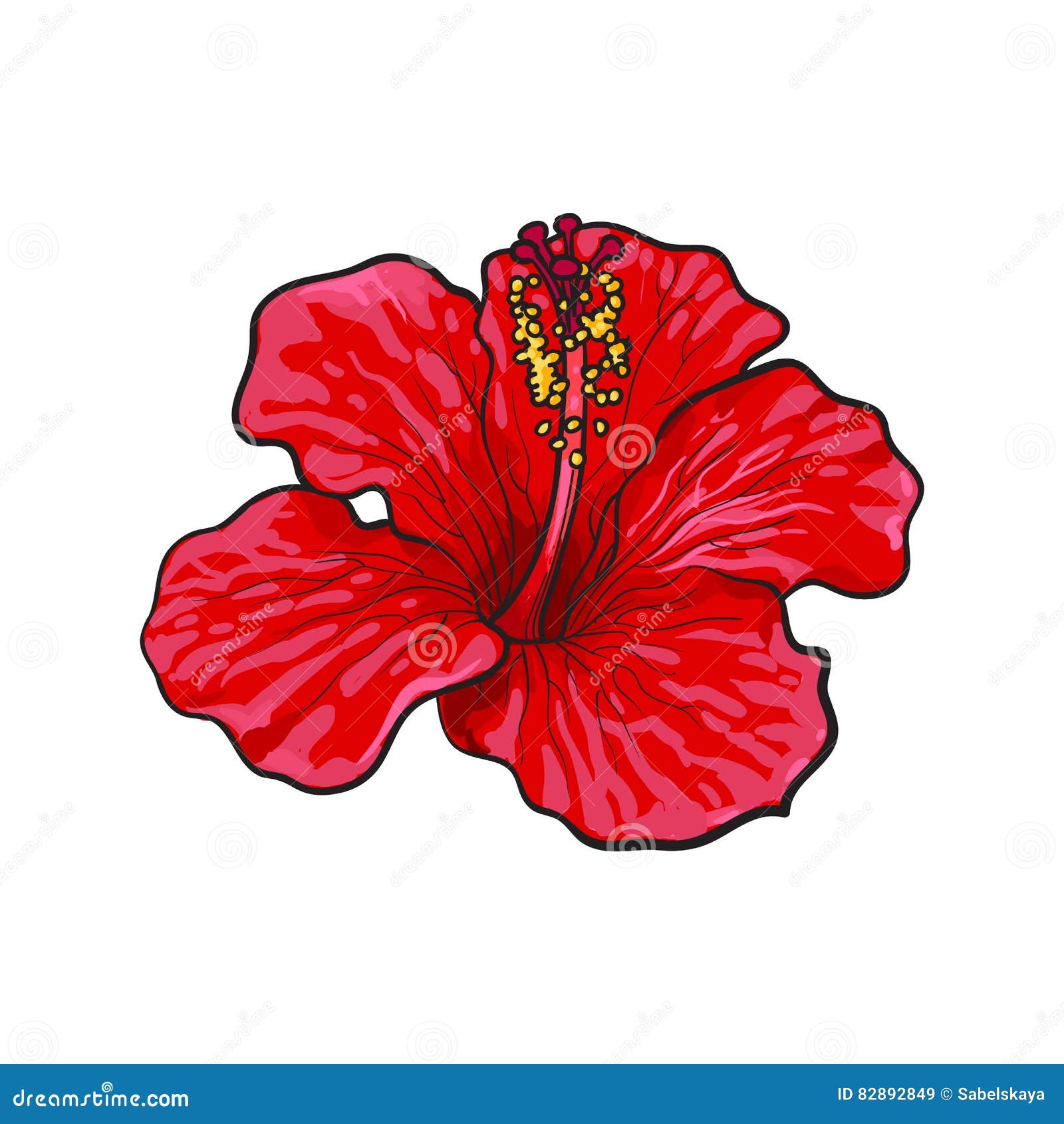 Hibiscus flower drawing  Stock Illustration 61500051  PIXTA