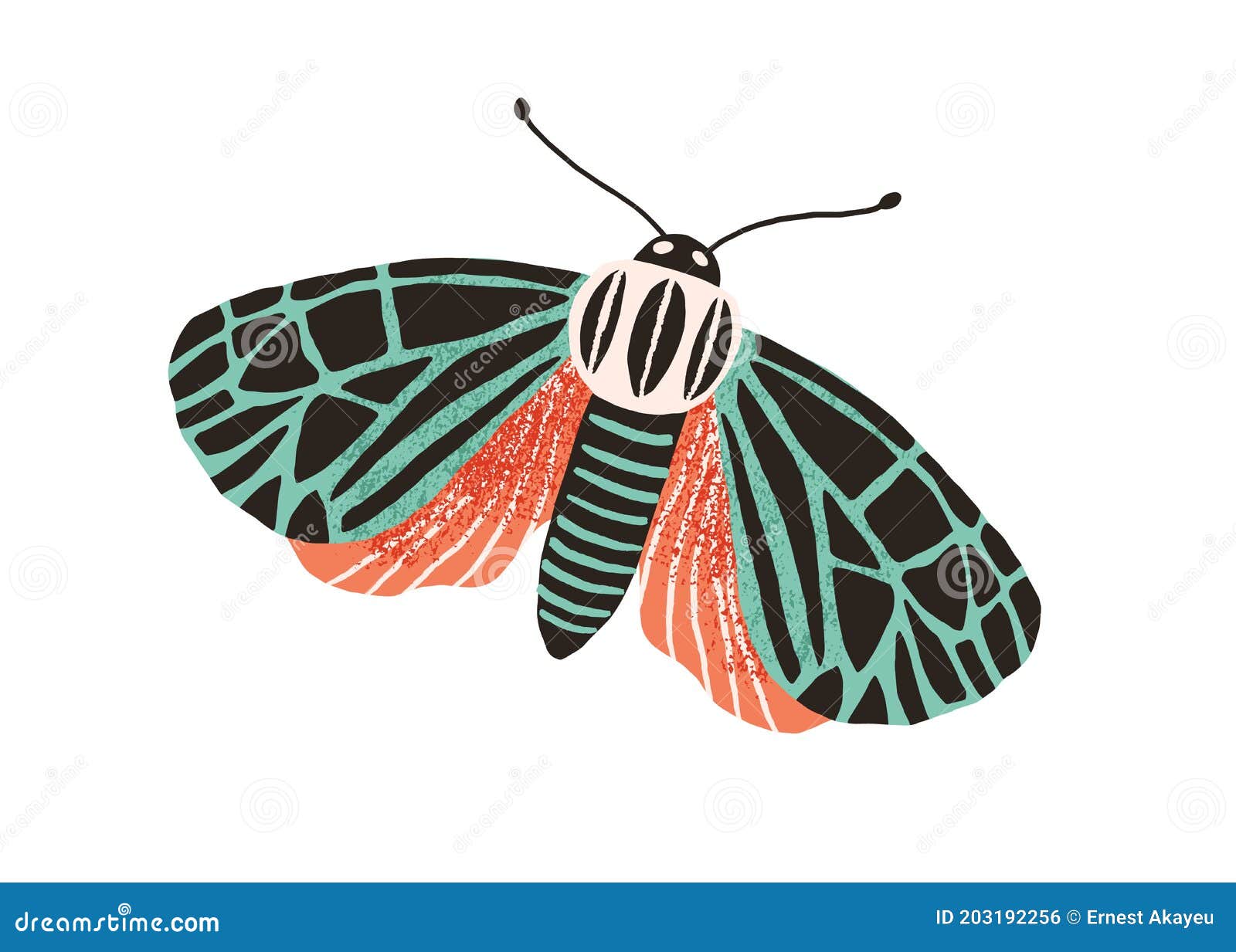 Download Single Butterfly With Colored Wings And Antennae Isolated ...