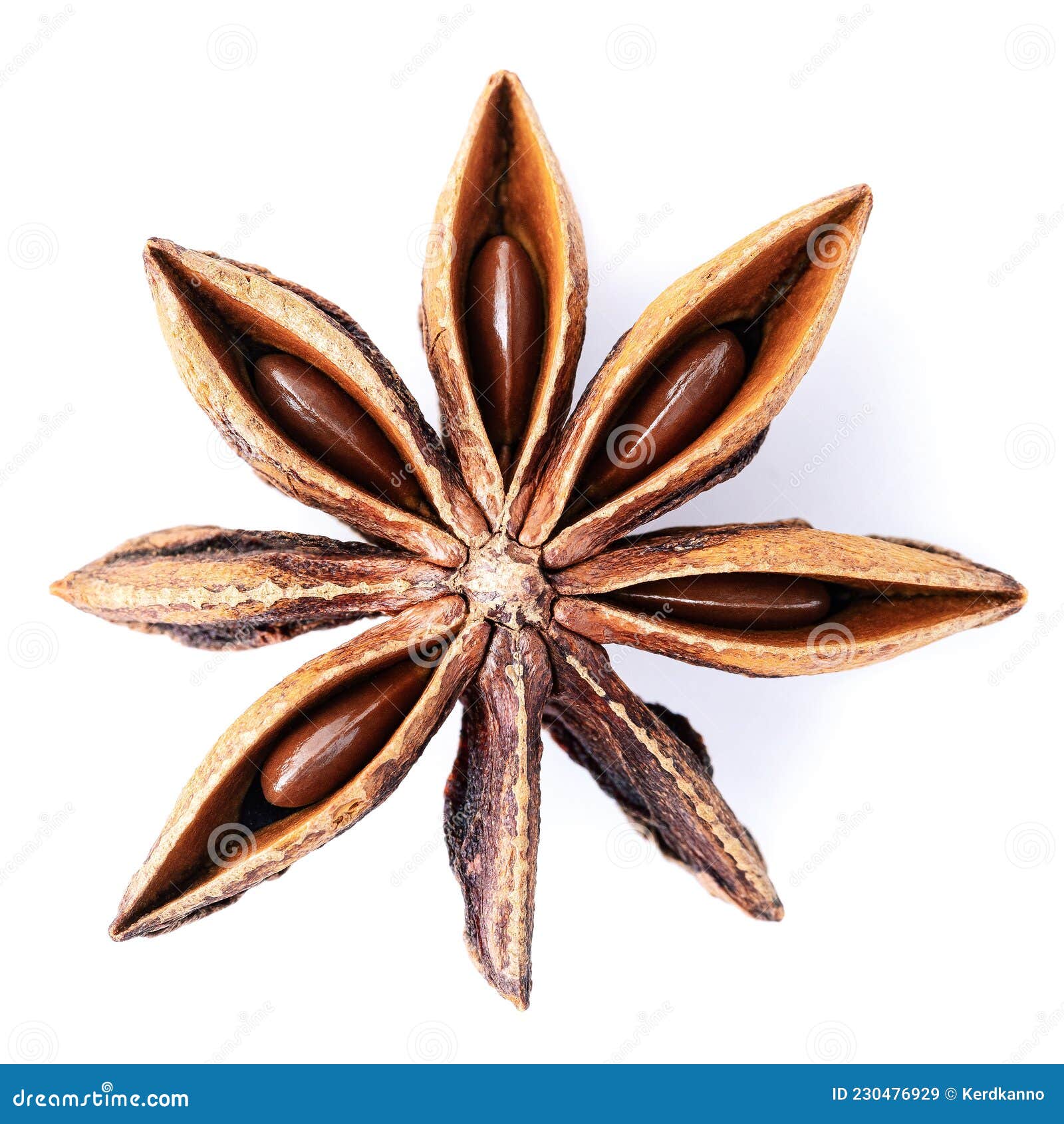 Single Chinese Star Anise Isolated on White Background Stock Image