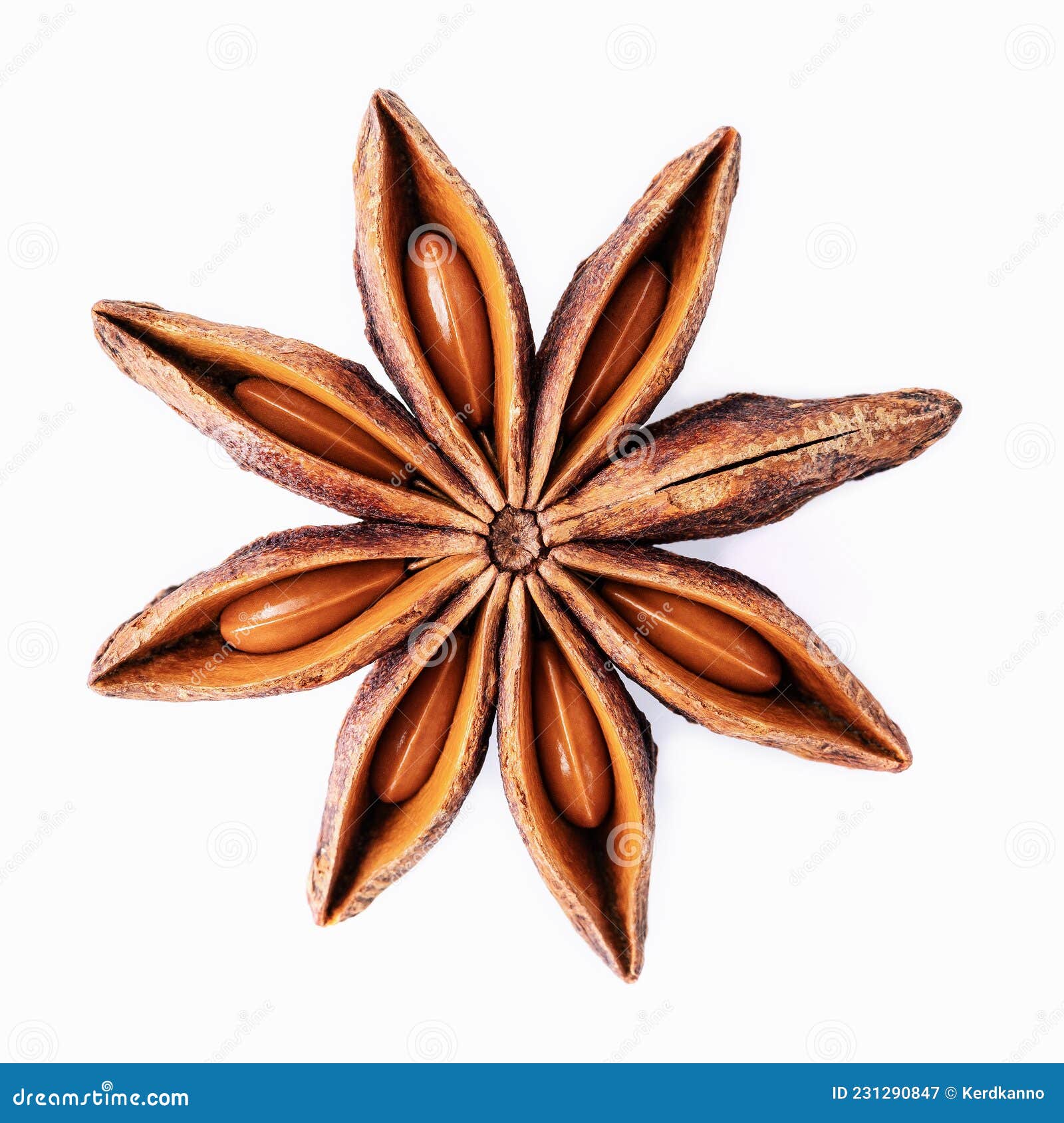 Single Chinese Star Anise Isolated on White Background Stock Image