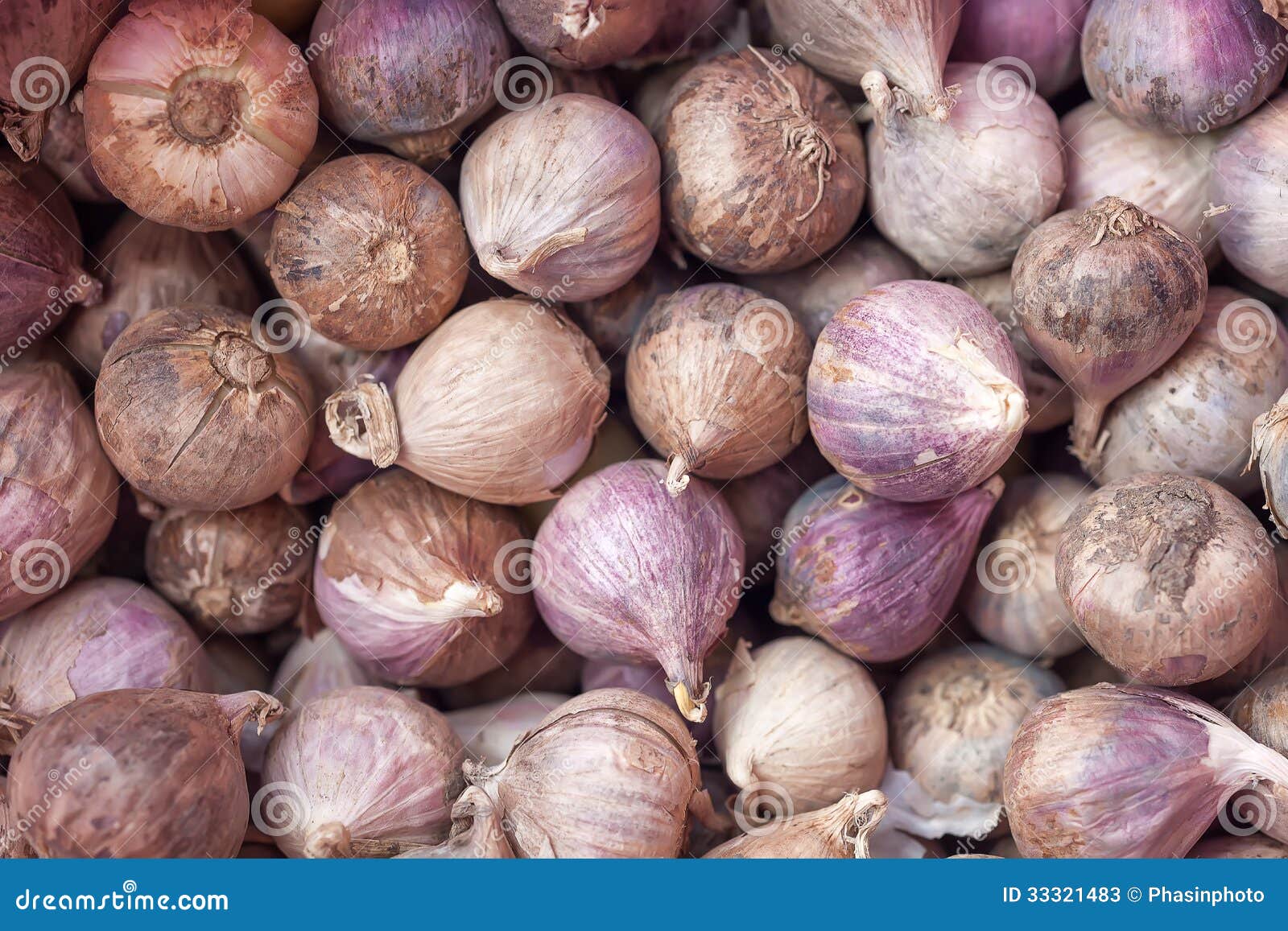 single clove garlic closeup