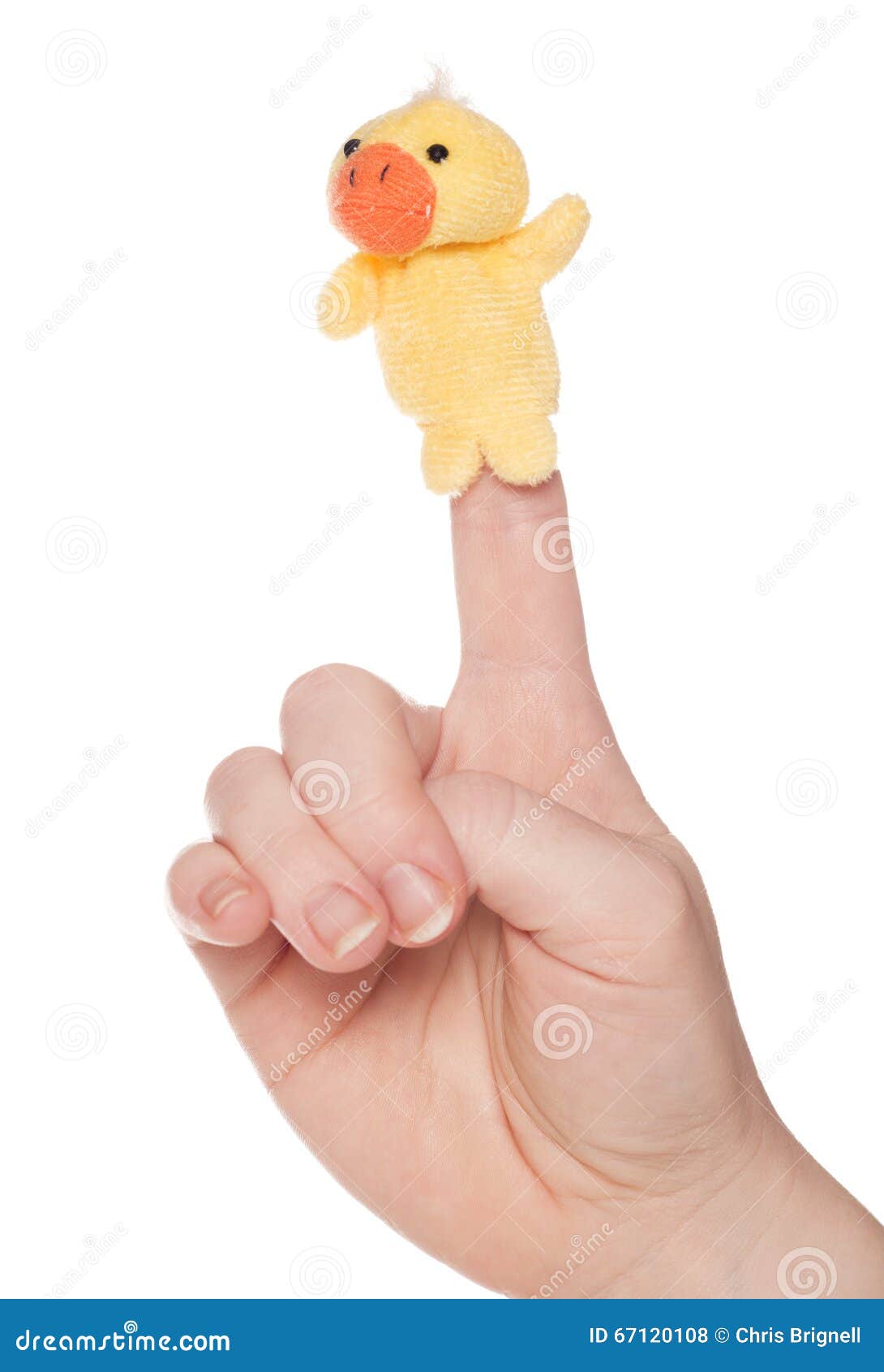 Single duck finger puppet stock photo. Image of childrens 67120108