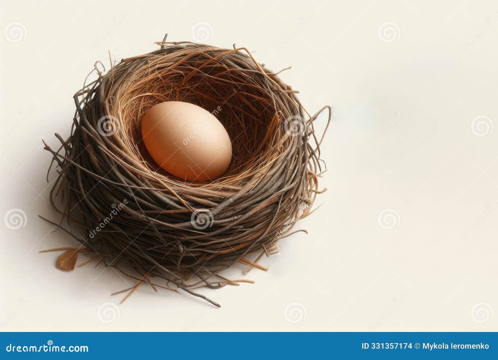 a single egg lying in a nest. space for text.