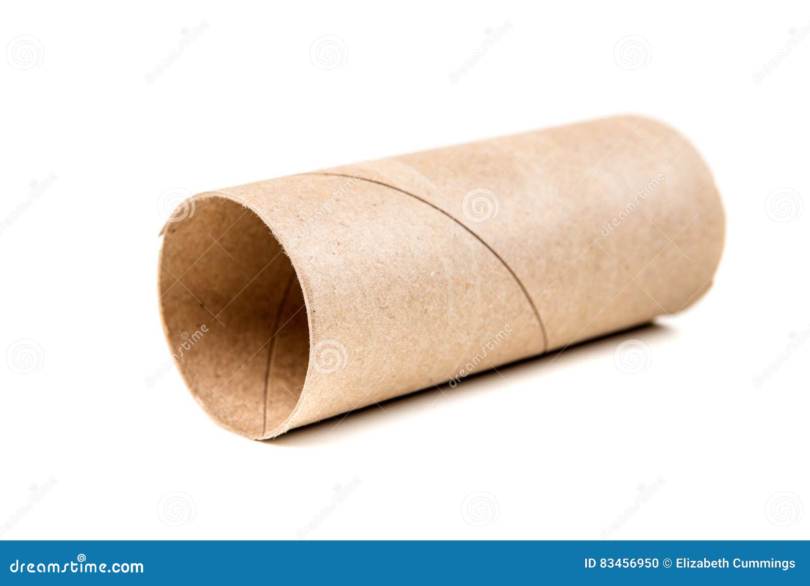 Single Empty Toilet Paper Roll Stock Photo - Image of empty, cardboard:  83456950