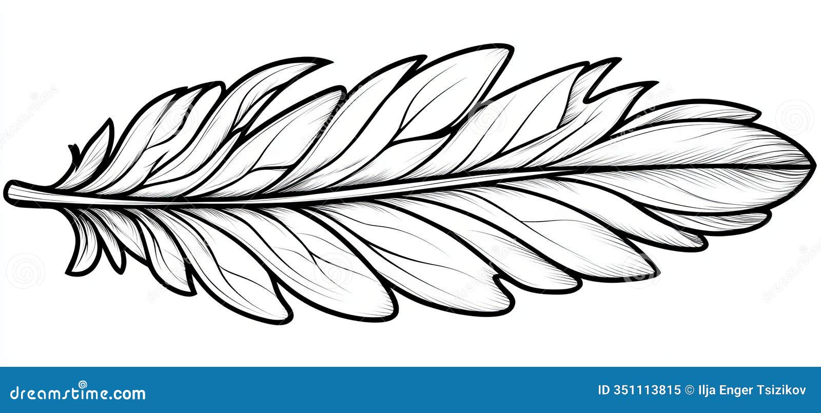 single feather outline, bird feather contour drawing, elegant swirl, coloring page  