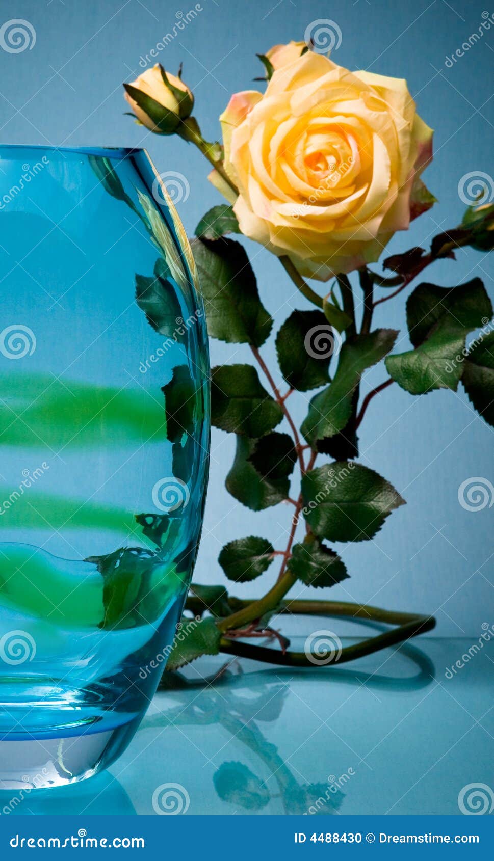 Single Flower and Glass Vase on Blue Stock Photo Image of spring