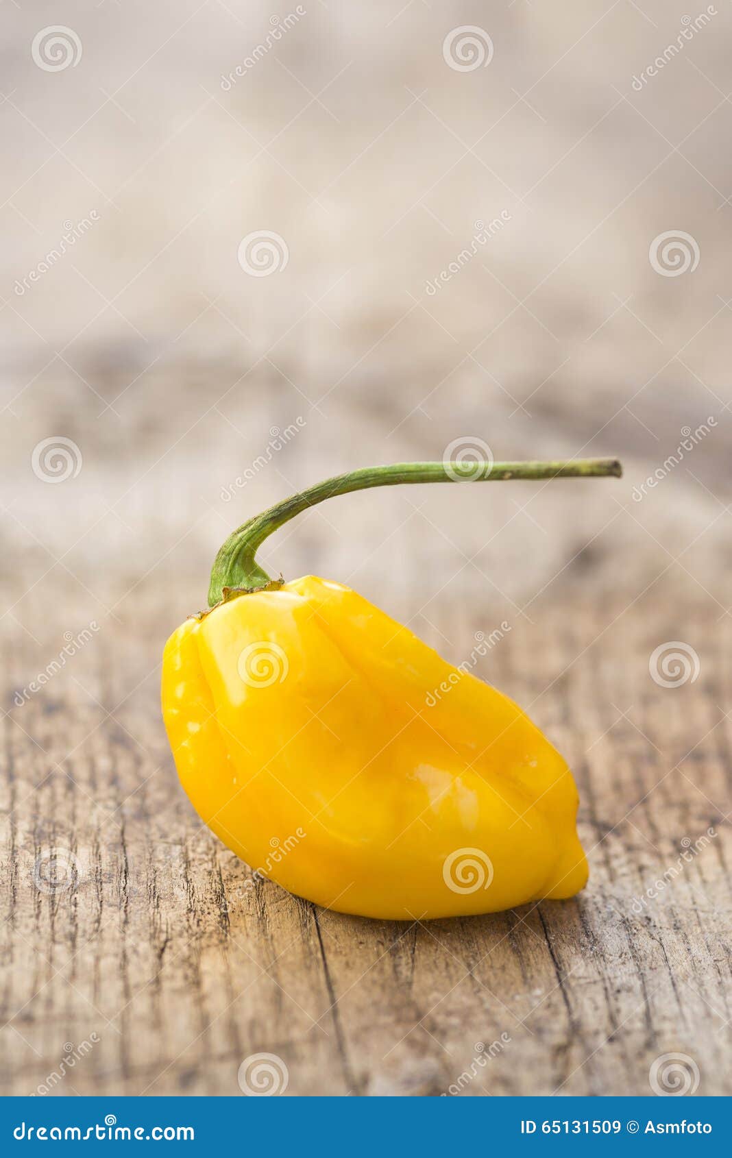 Single Fresh Yellow Habanero Chili Stock Image Image of sauce