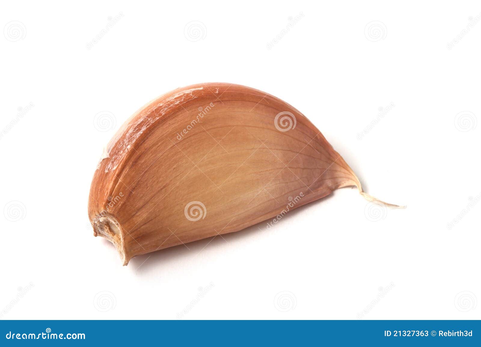 Single Garlic Clove Closeup Stock Image Image of clove, white 21327363