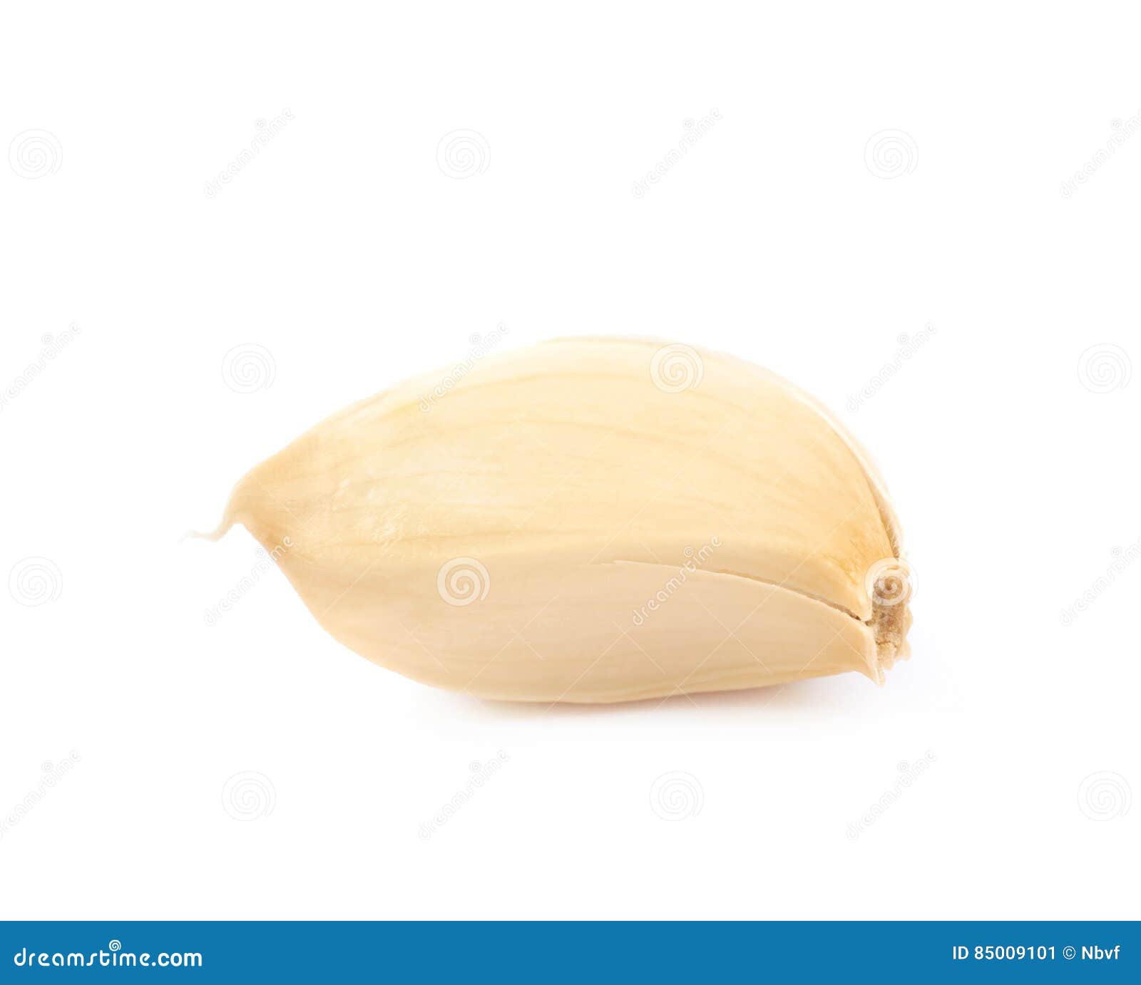 Single Garlic Clove Isolated Stock Image Image of eating, clove 85009101