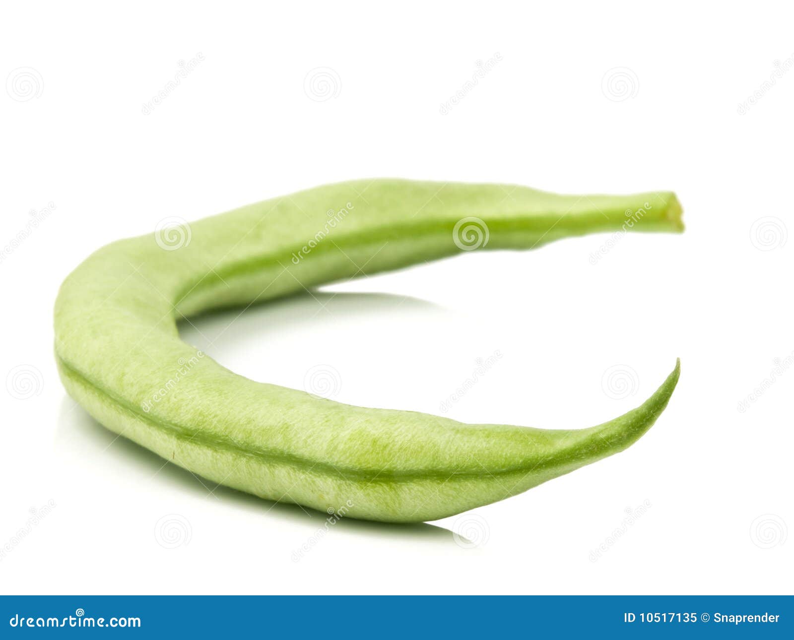 Single Green Bean Royalty Free Stock Photo Image 10517135