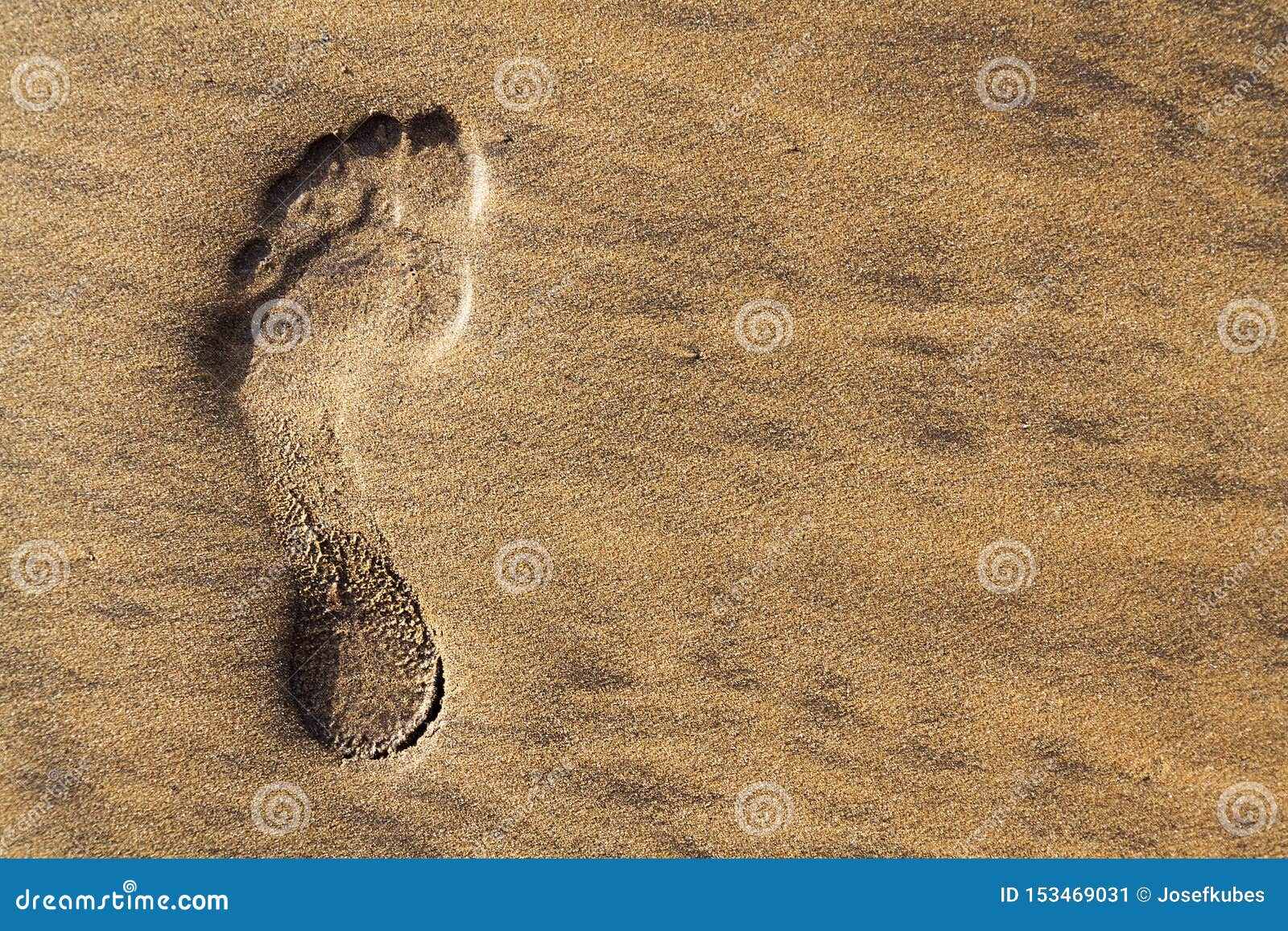 Single Human Barefoot Footprint of Left Foot in Brown Yellow Sand Beach ...