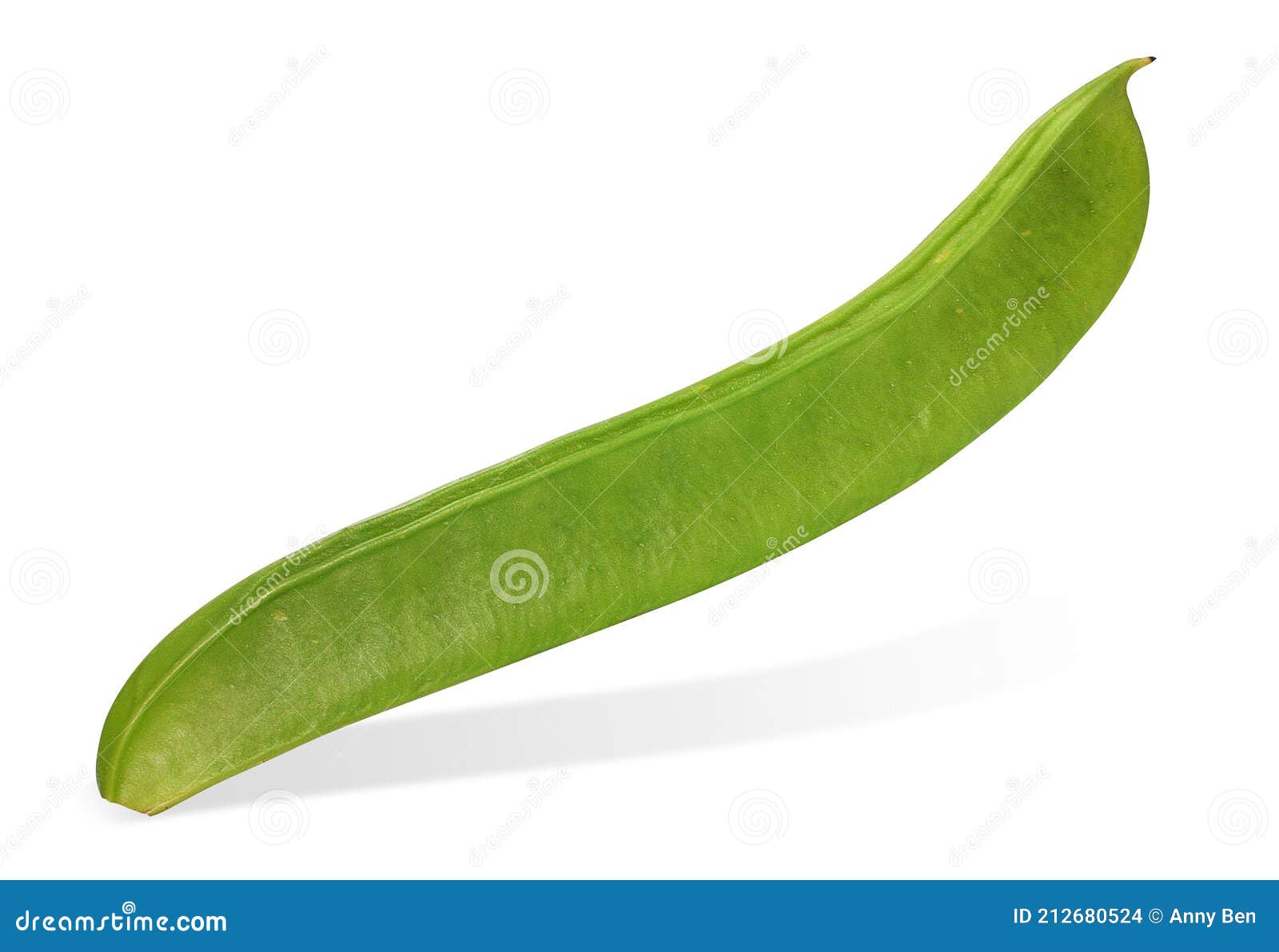 Jack Bean Stock Photography 48688076