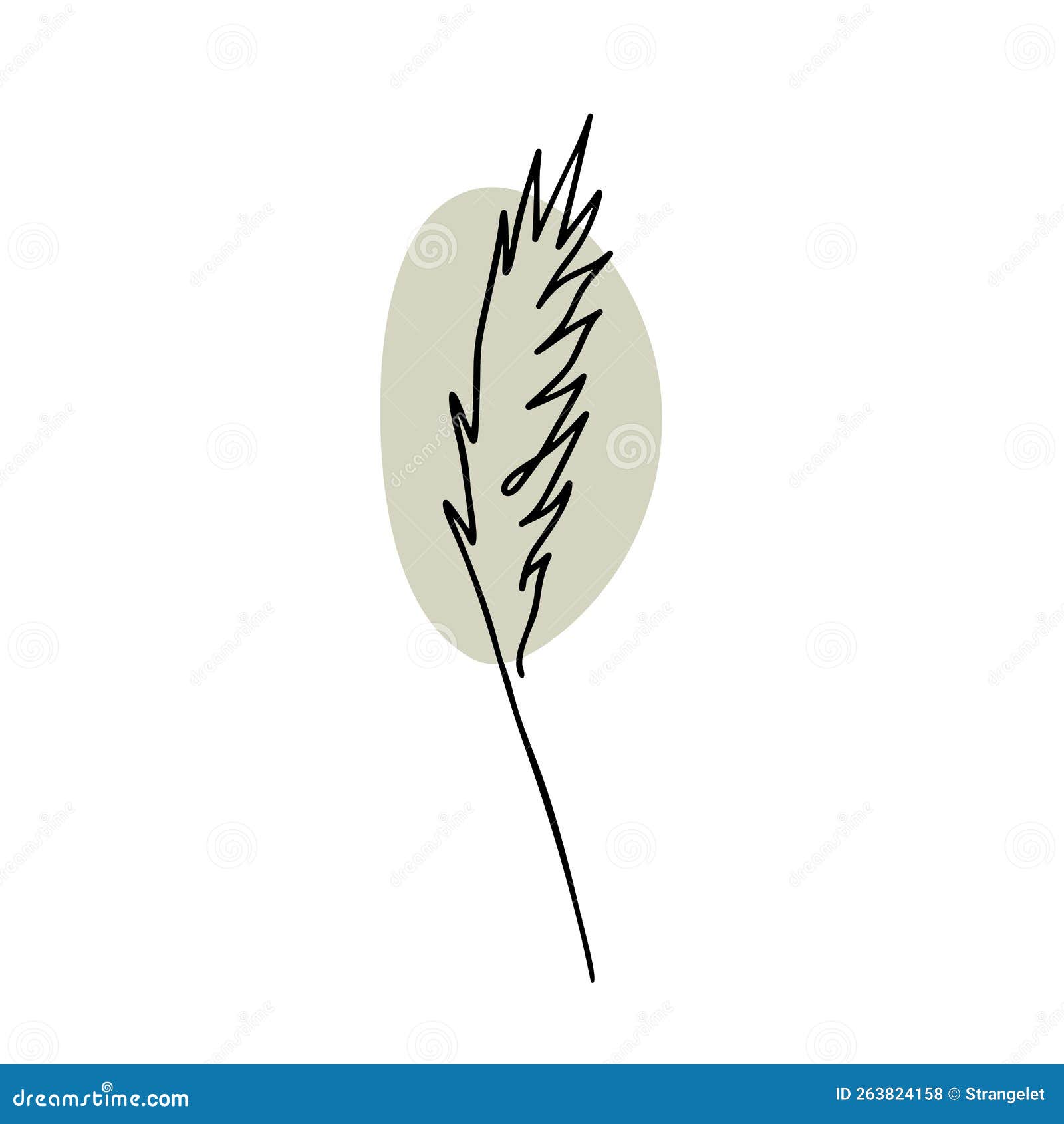 Single Line Drawing of Pampas Grass on White Stock Vector