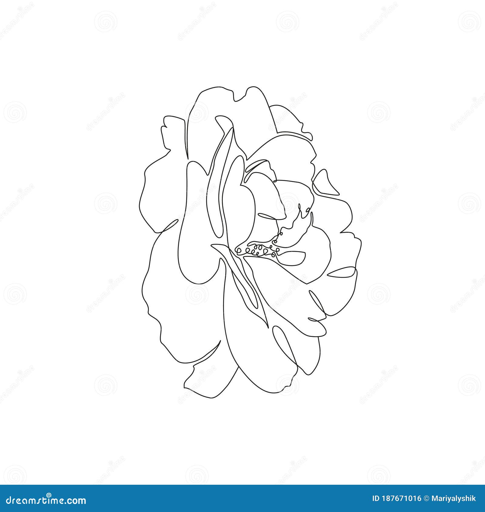 Single Line Flower Illustration Line Art Rose Blossom for Print Tattoo  Card Invitation and More Stock Vector  Illustration of blossom  decorative 187670987