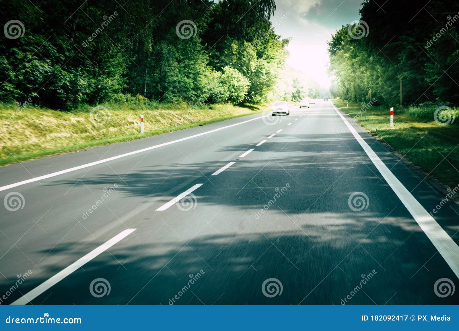 Singleline Road in Forest, Driving Concept Stock Image Image of