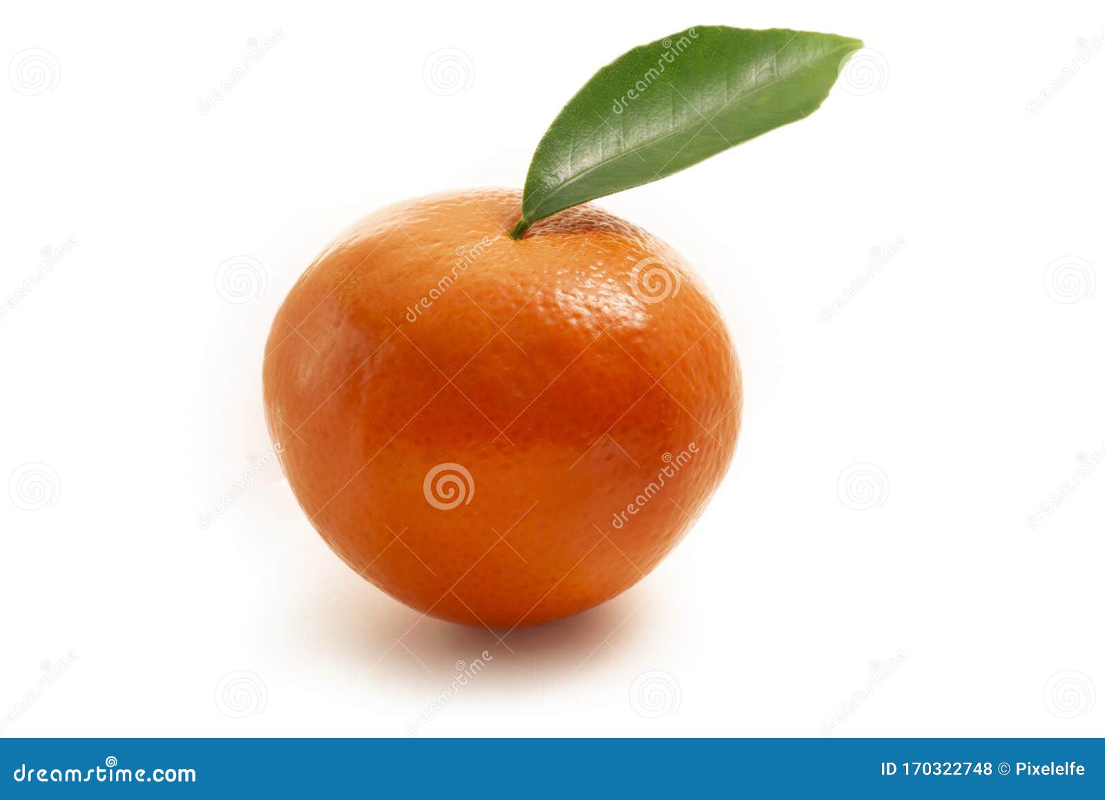 single mandarin with leaf  against white