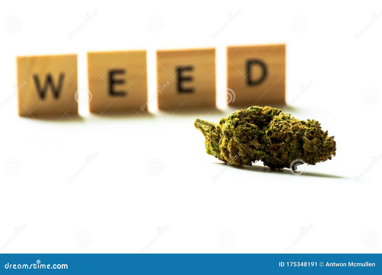 A Single Marijuana Bud on a White Background and the Word WEED