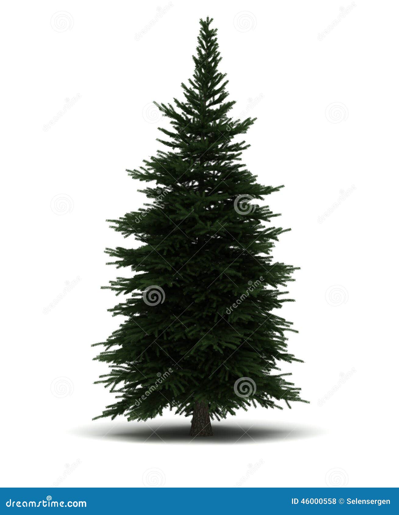 Single Pine Tree stock illustration. Illustration of green - 46000558