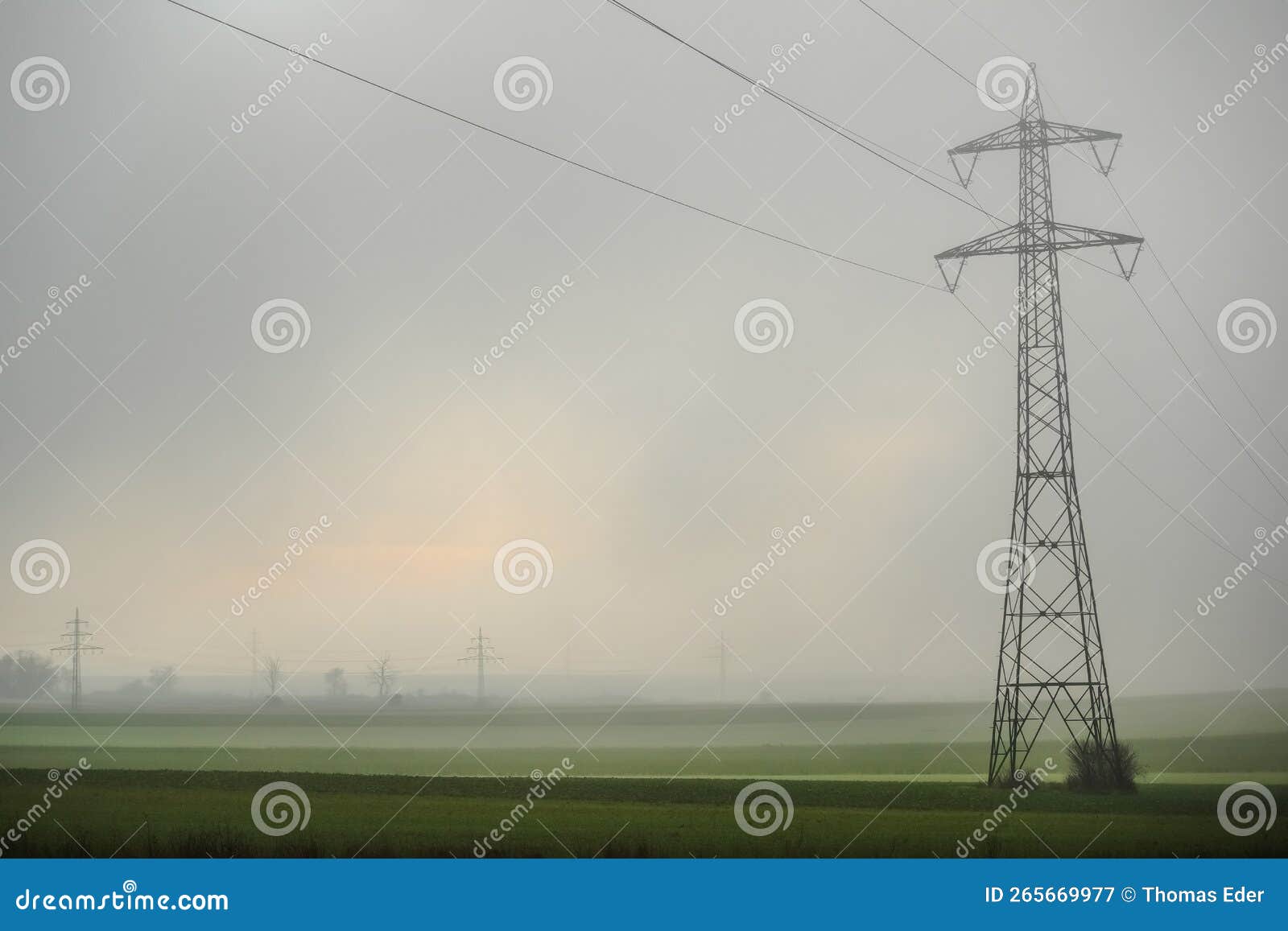 Single Power Pole with Dense Fog Over the Fields Stock Image Image of