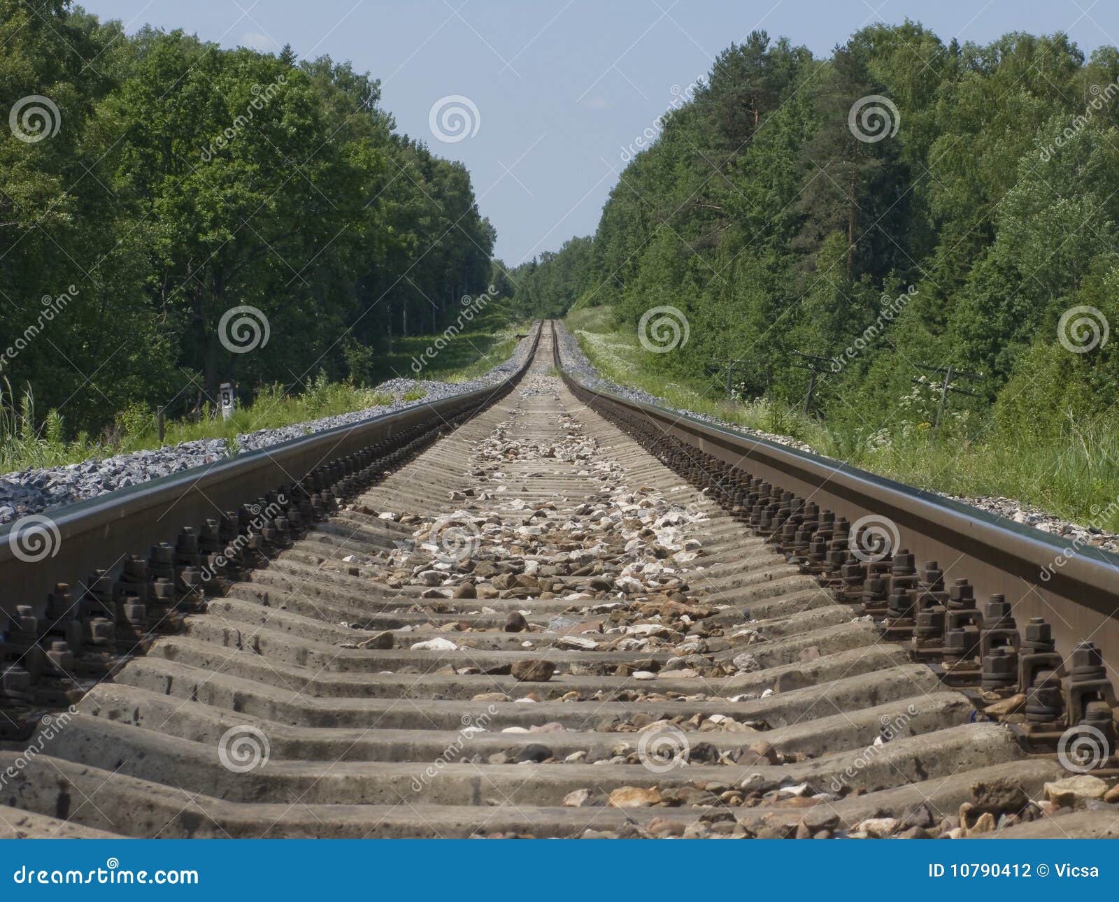 Single Railroad Track in the Forest Stock Photo Image of metal, line