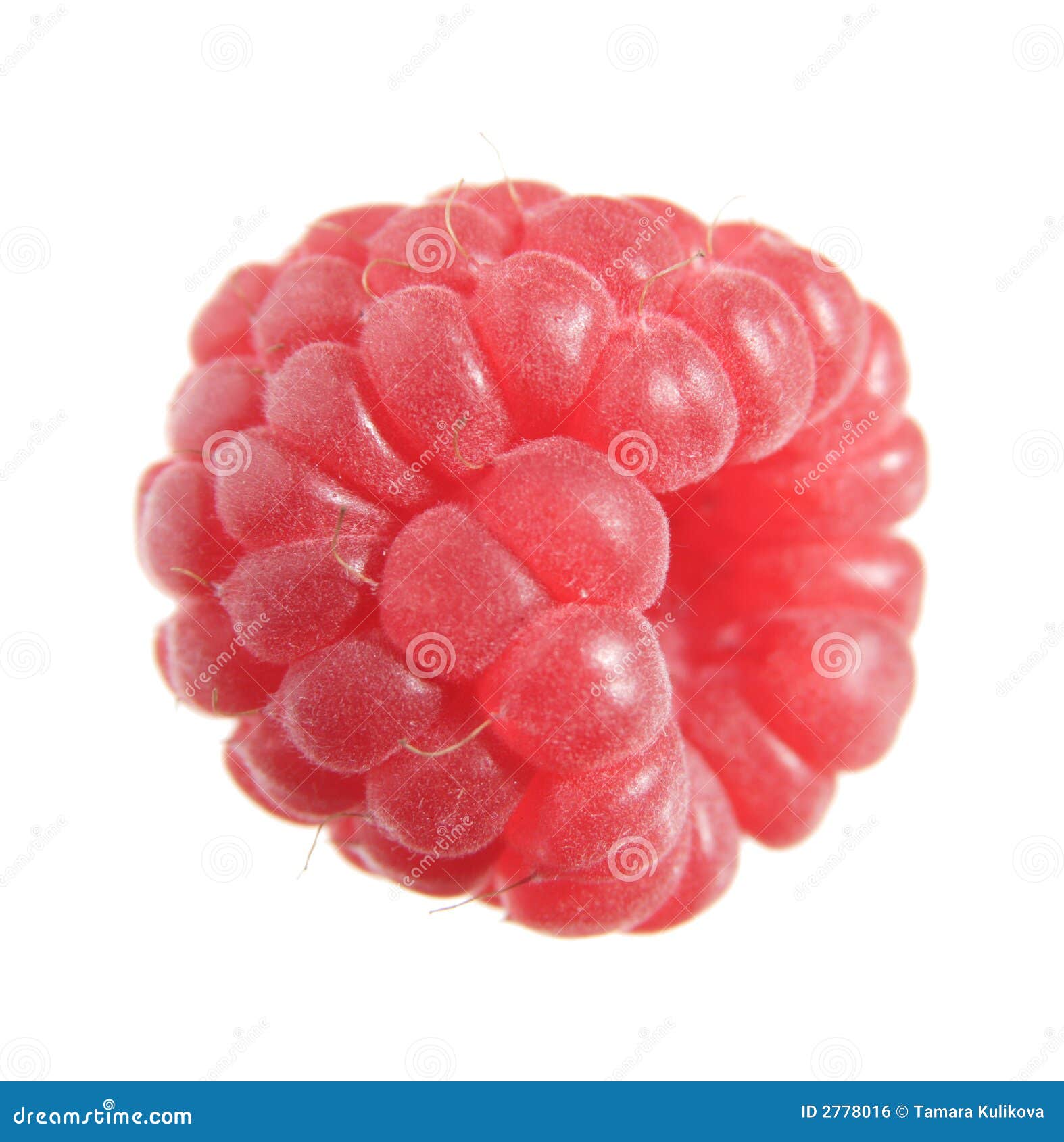 Single Raspberry Macro, White Stock Photo Image of hole, berries 2778016