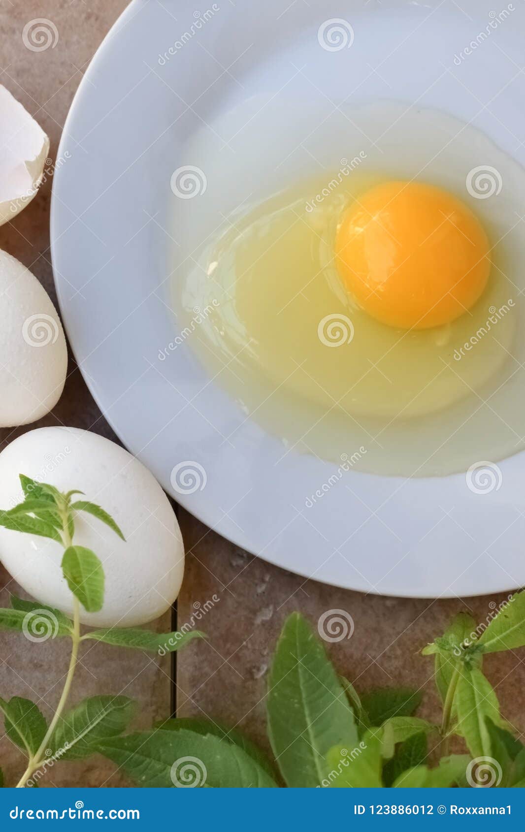 Single Raw Chicken Egg on a Plate Stock Photo Image of dish, chicken