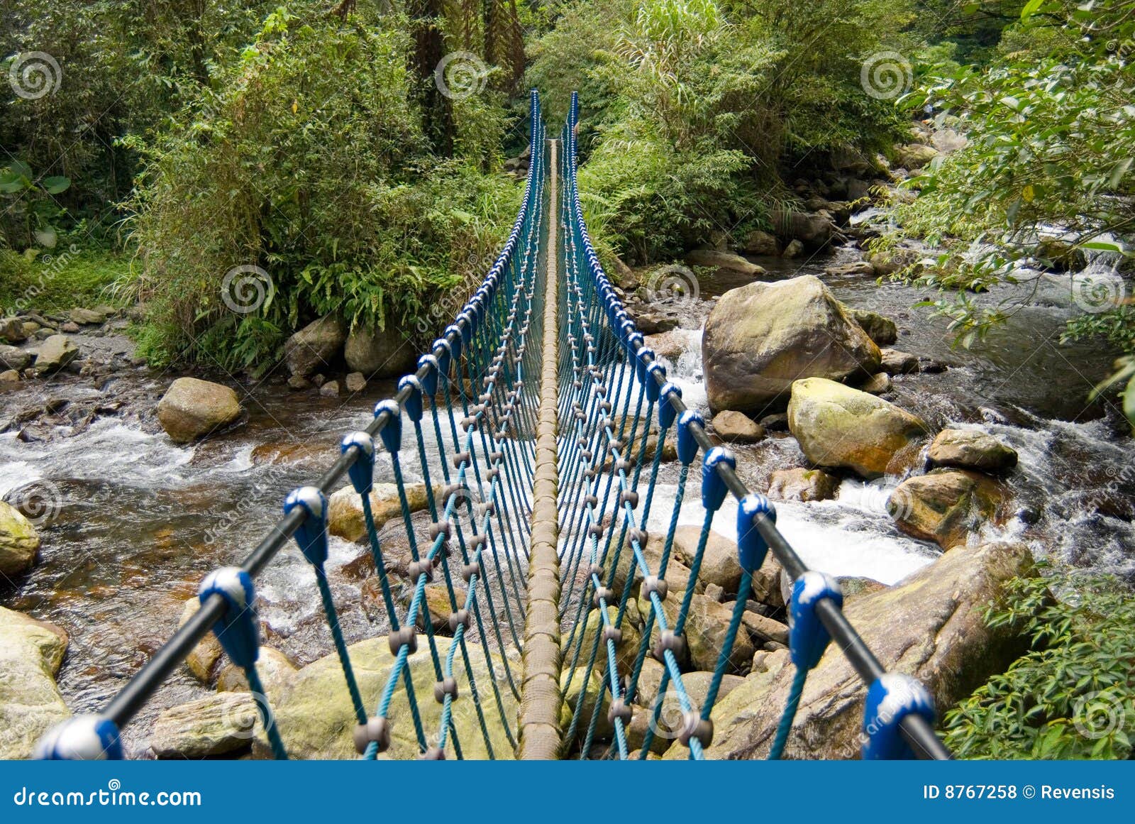 Single rope bridge stock photo. Image of hang, pedestrian - 8767258