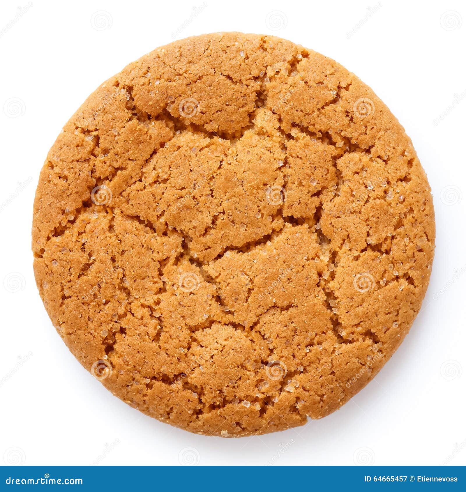 single round ginger biscuit  on white from above.