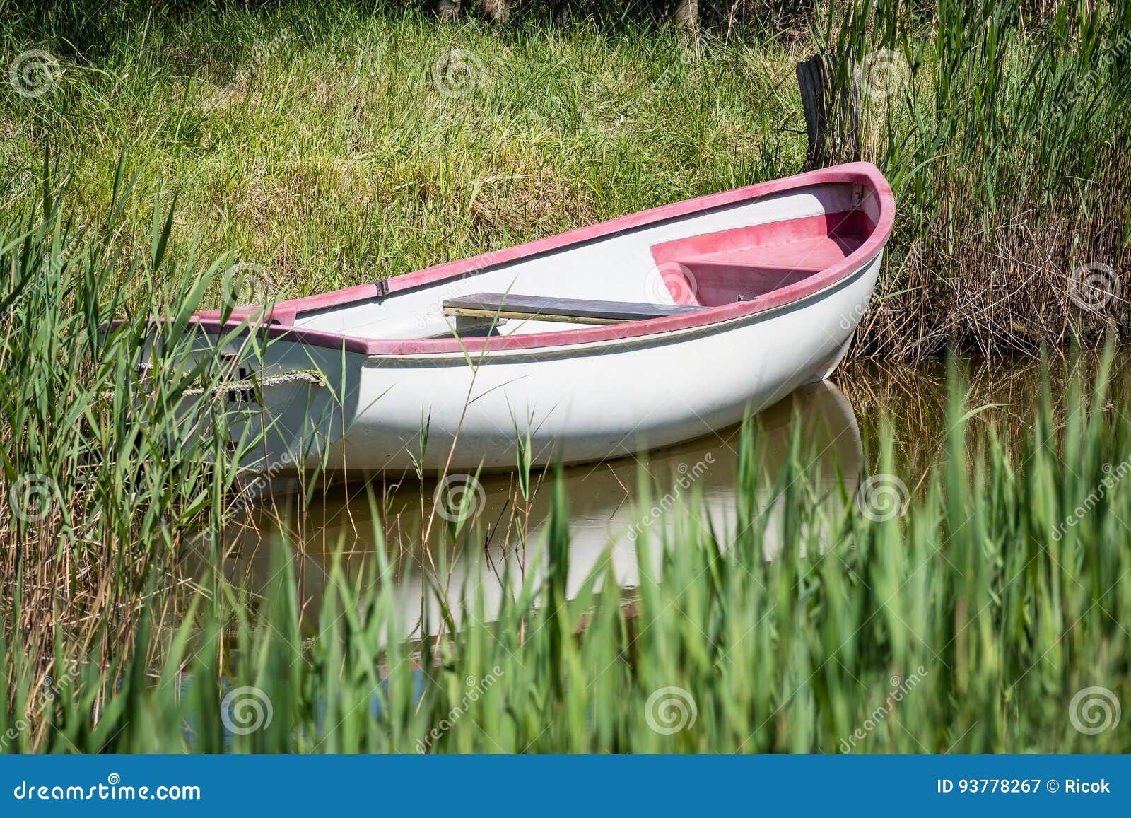 A Single Rowing Boat in the Reeds Stock Image Image of western, port