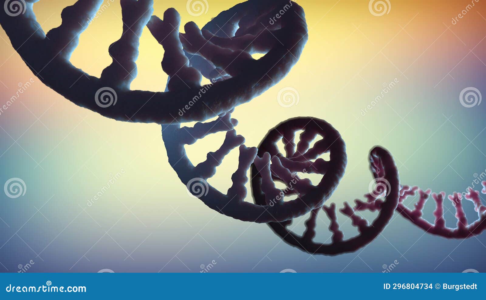Single stranded Molecule of RNA Called Messenger Ribonucleic Acid Stock Single stranded Molecule of RNA Called Messenger Ribonucleic Acid Stock
