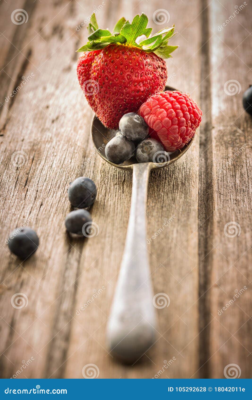 Single Strawberry and Some Blueberries in Old Vintage Spoon on W Stock ...