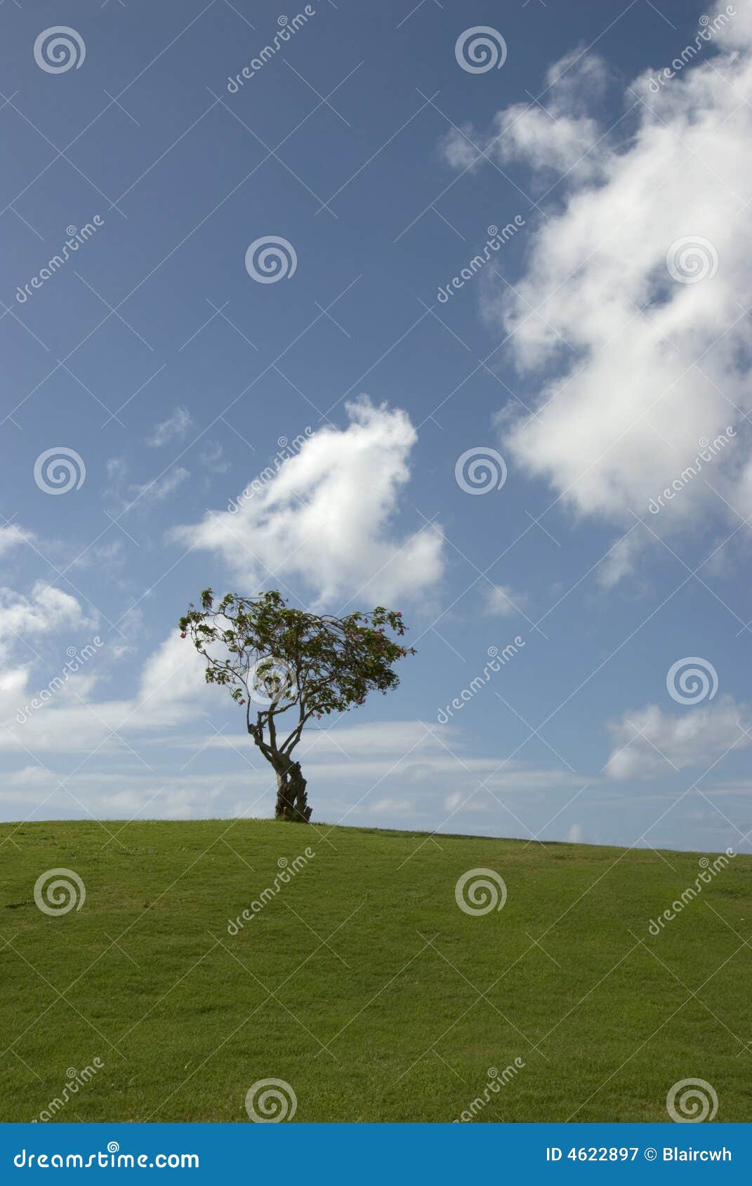 Grassy hillock hi-res stock photography and images - Alamy