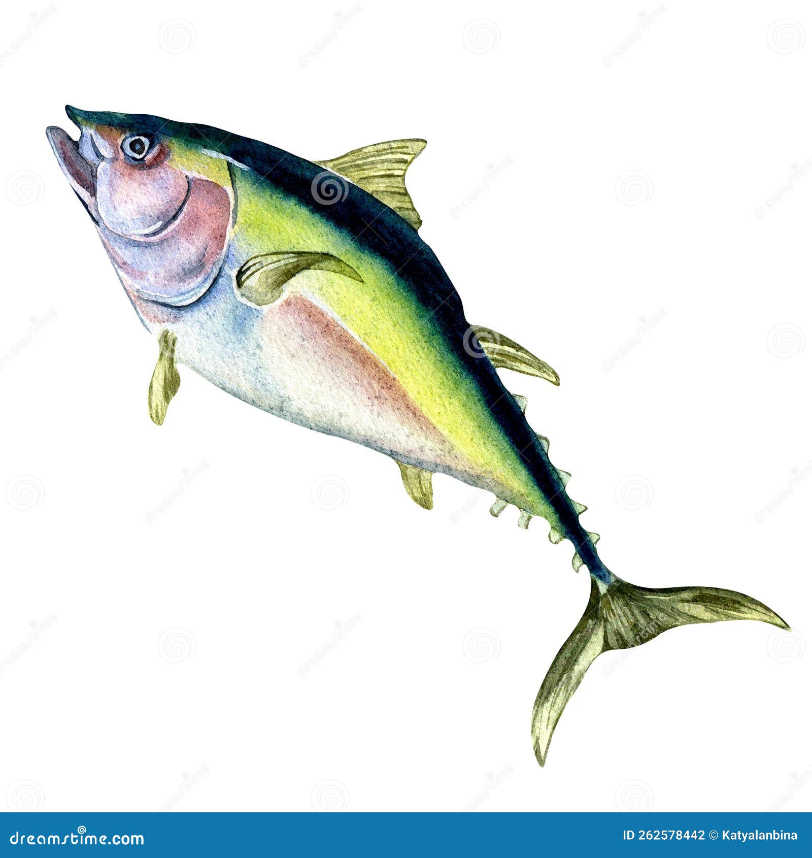 My Image 24