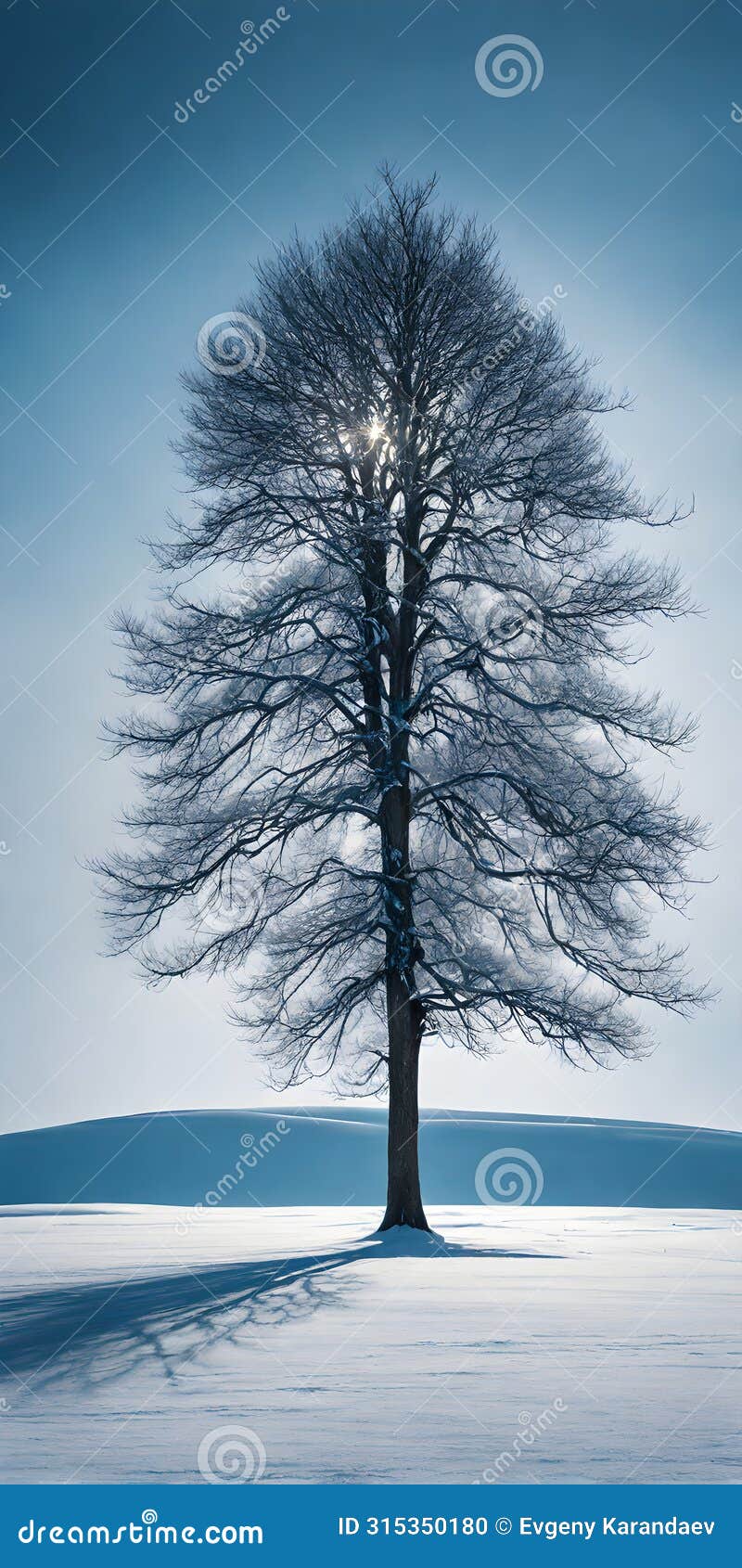 a single untouched tree amidst serene icy plains
