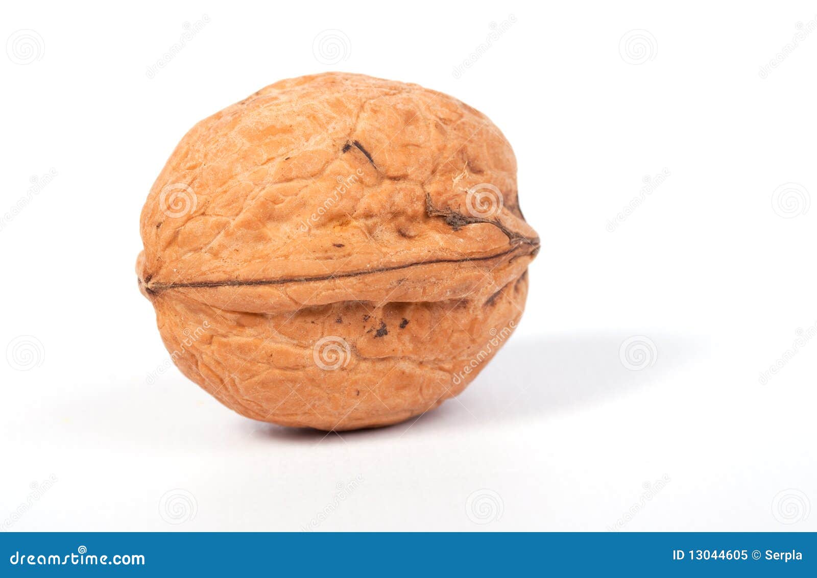 Single walnut stock image. Image of objects, shell, seed 13044605