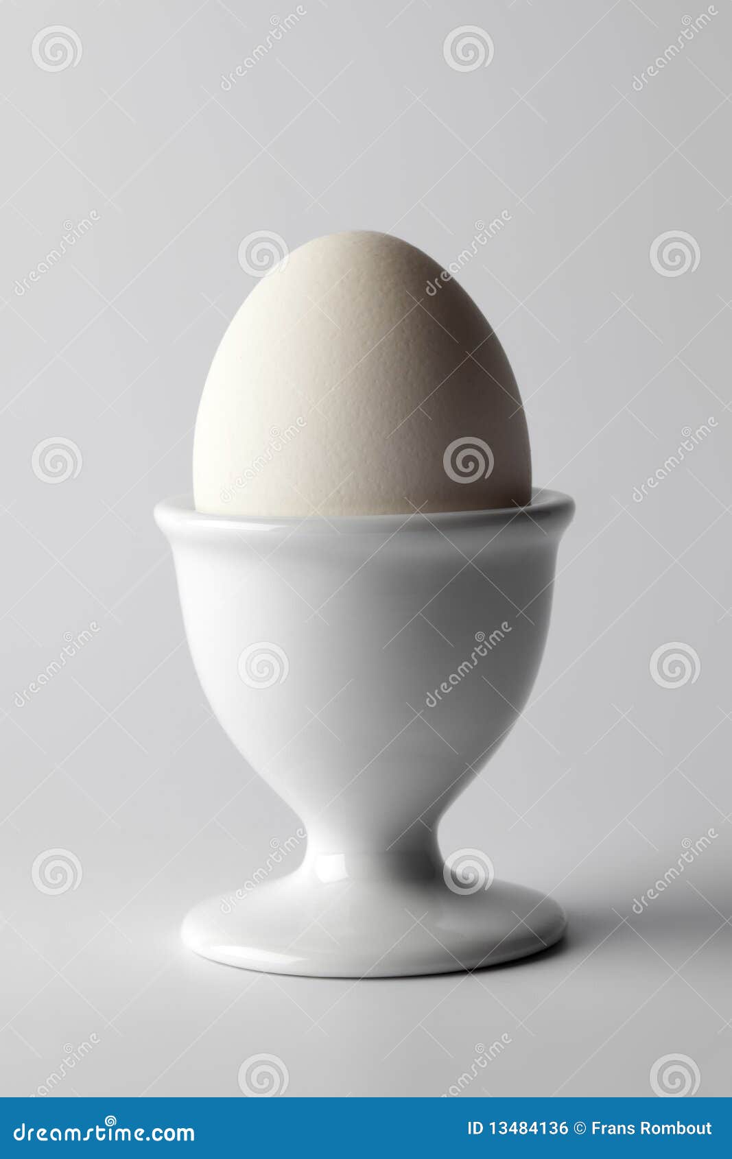 Single Whole Boiled White Egg Stock Photo Image of food, white 13484136