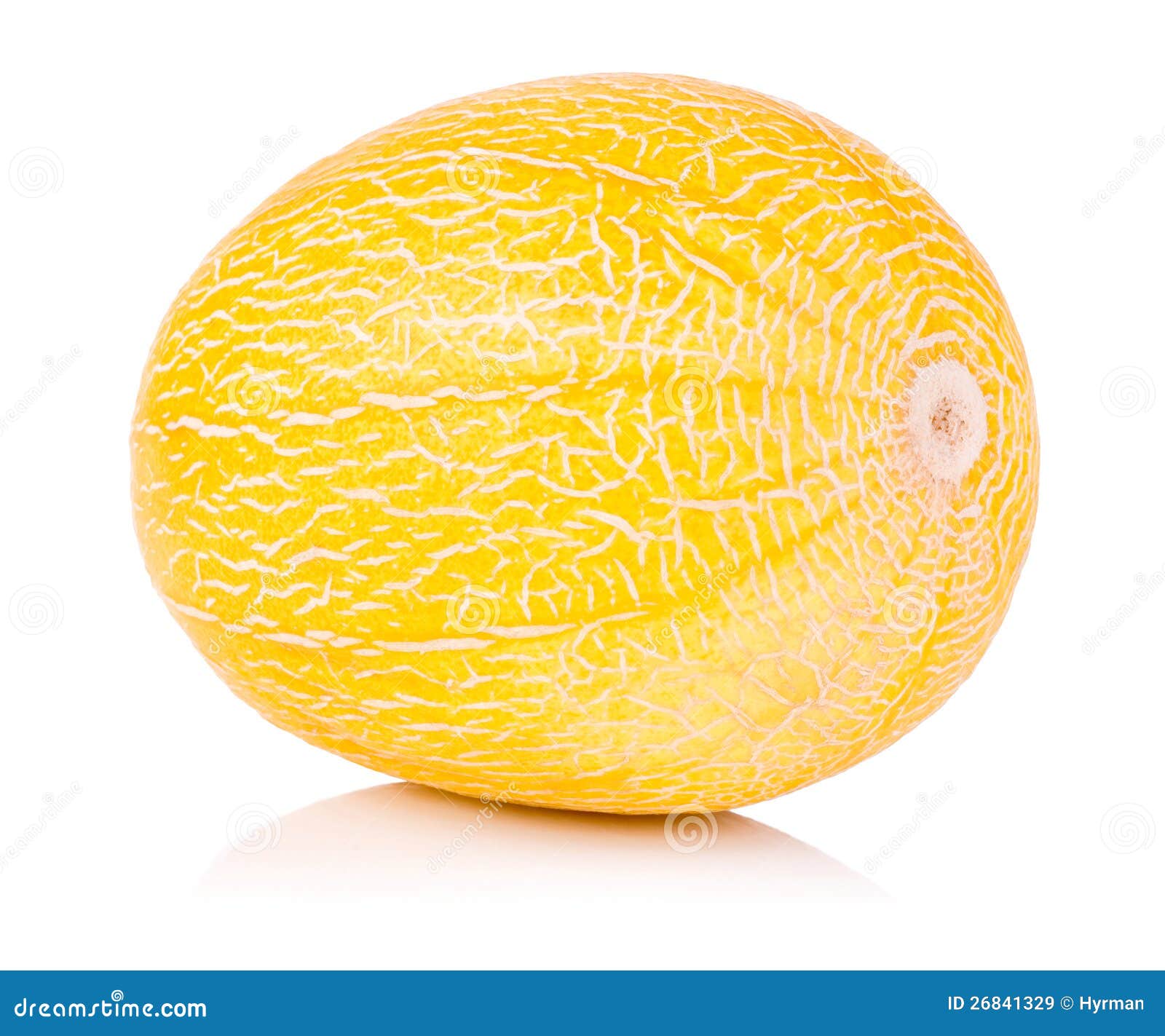 Single Whole Fresh Honeydew Melon Isolated Stock Image Image of fresh