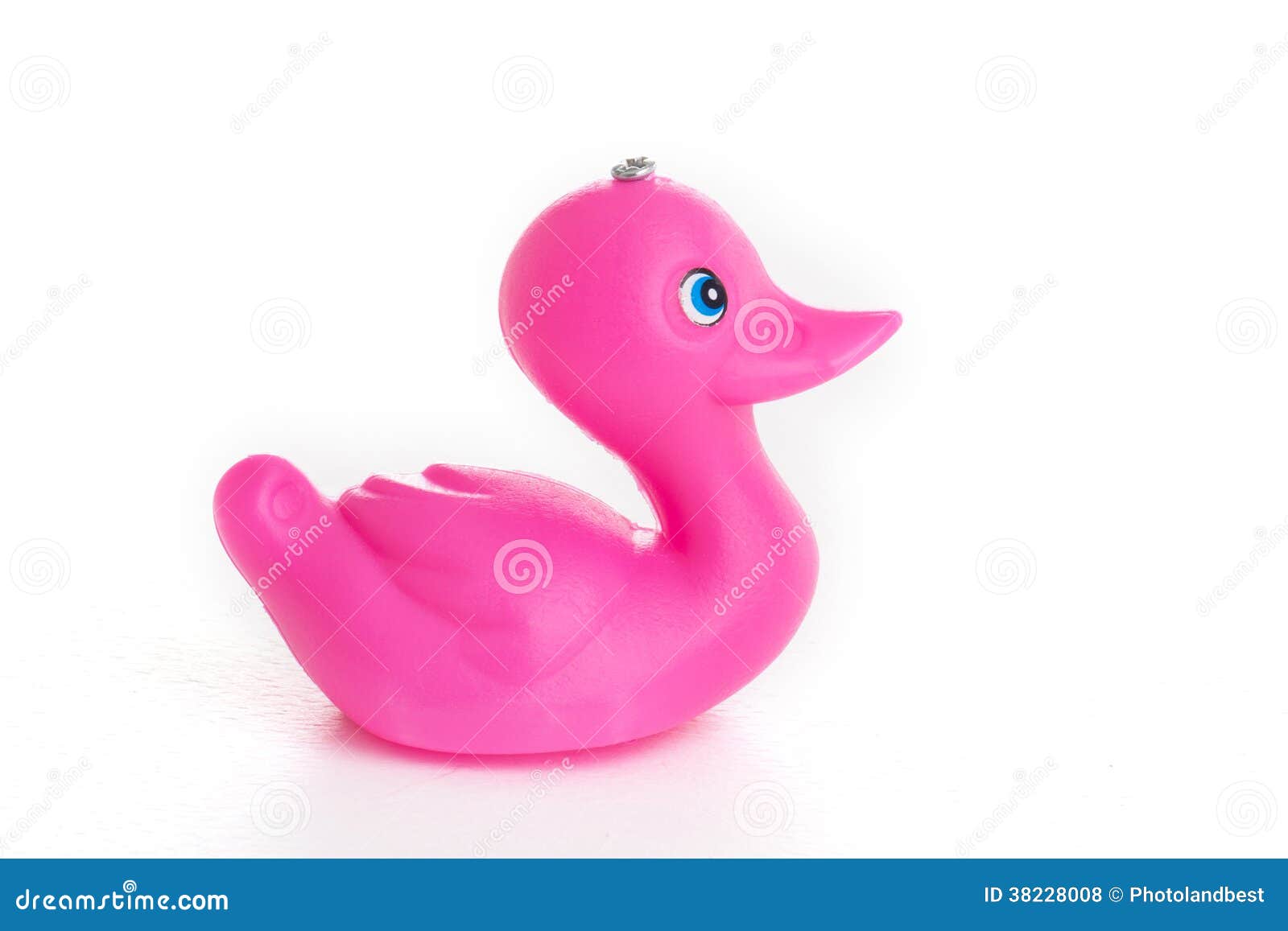 Anatra Di Gomma Immagine Stock. Immagine Di Nessuno, Acqua - 17726633