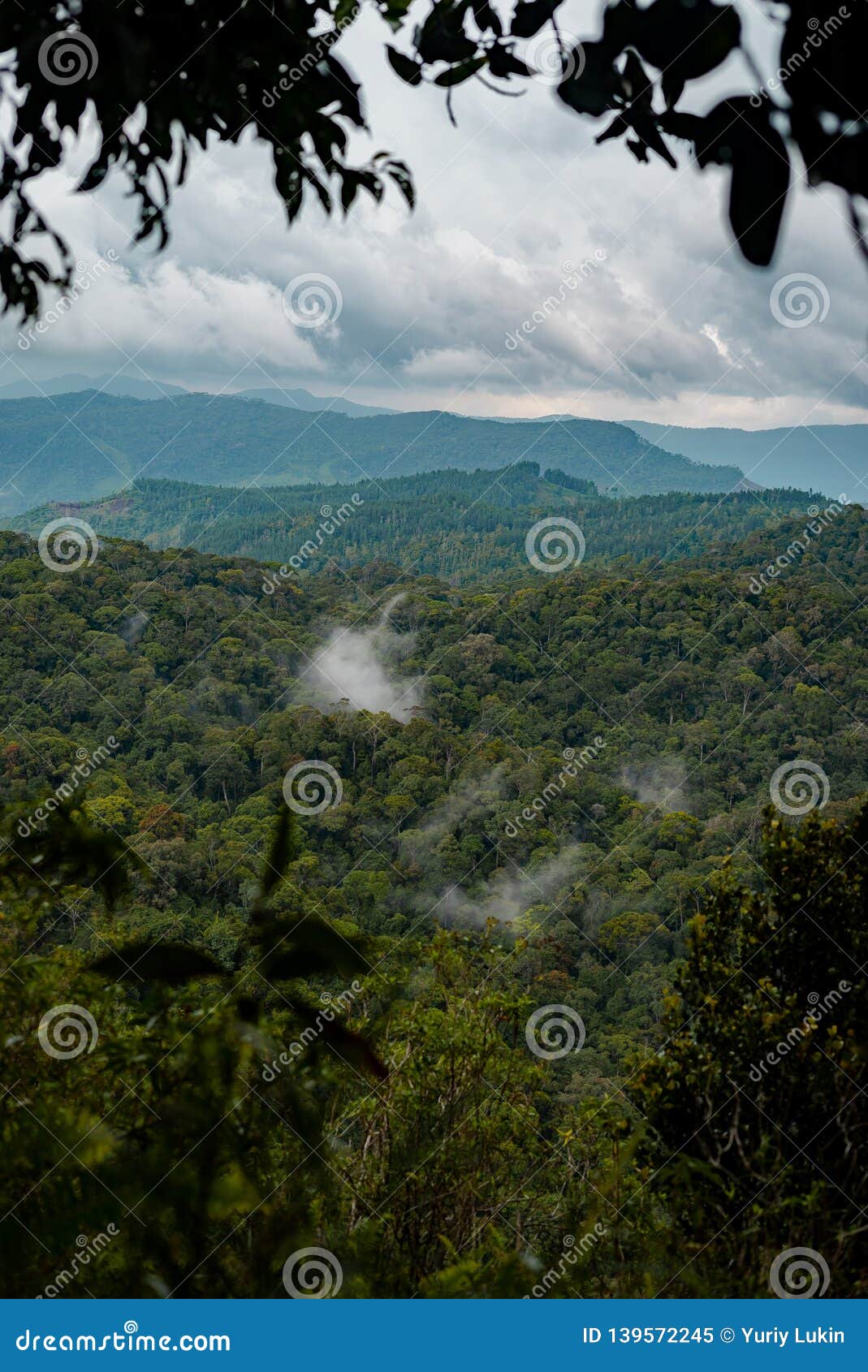 Sinharaja Rain Forest Nature Reserve, Sri Lanka. View from Top of Mountain  To Forest. Stock Image - Image of india, fresh: 139572245