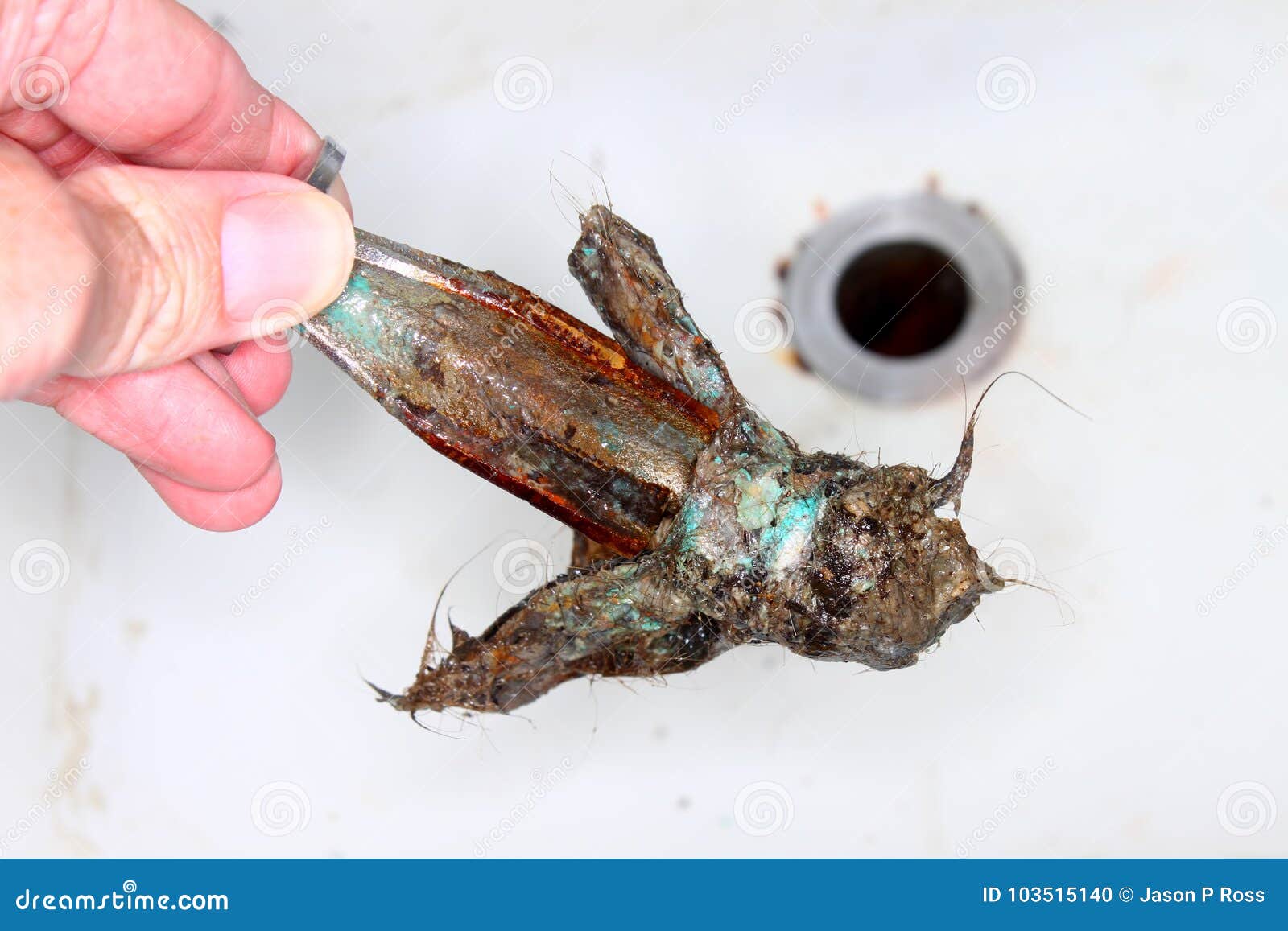 Sink Drain Disgusting Clog Stock Photo Image Of Gross
