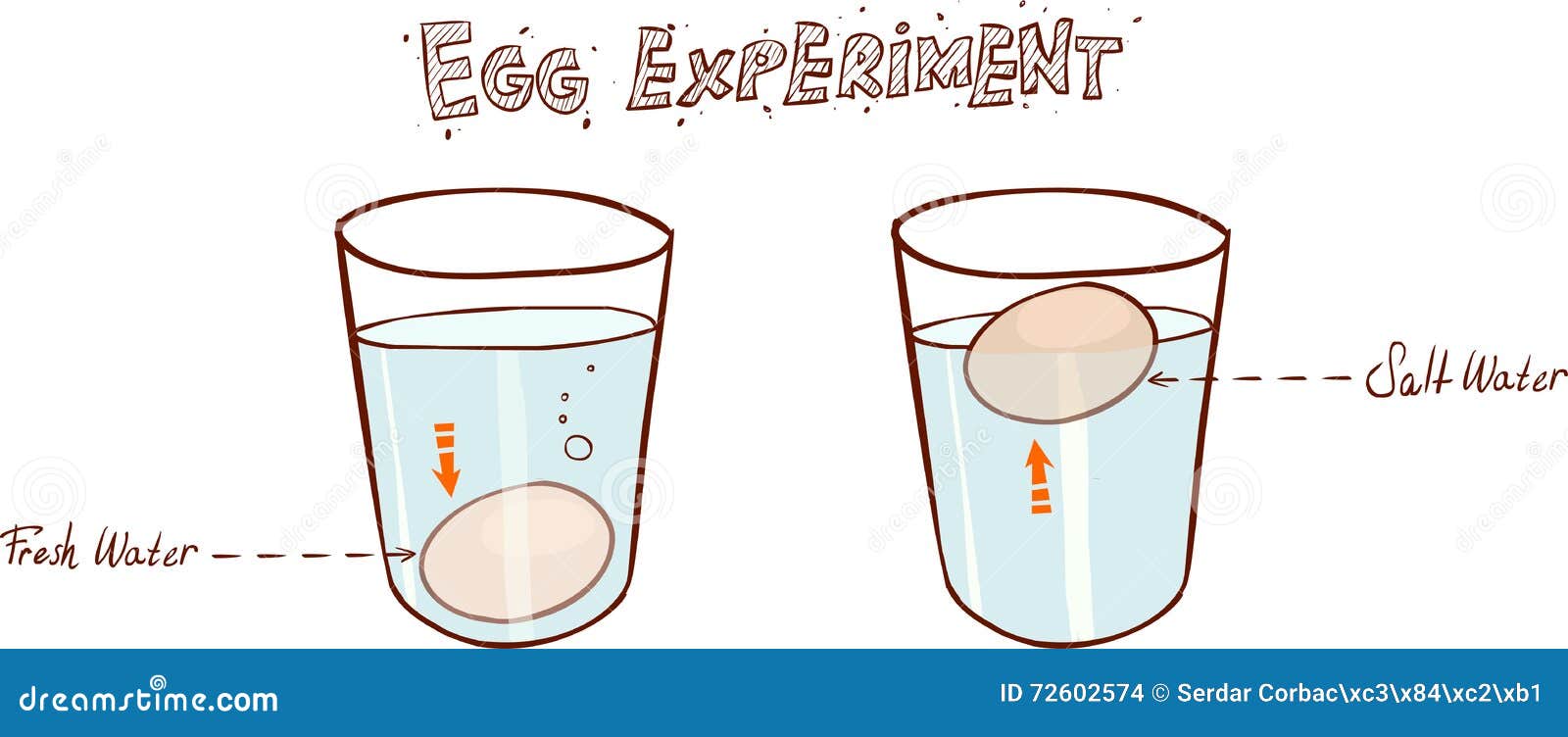 (sink or float egg freshness test)