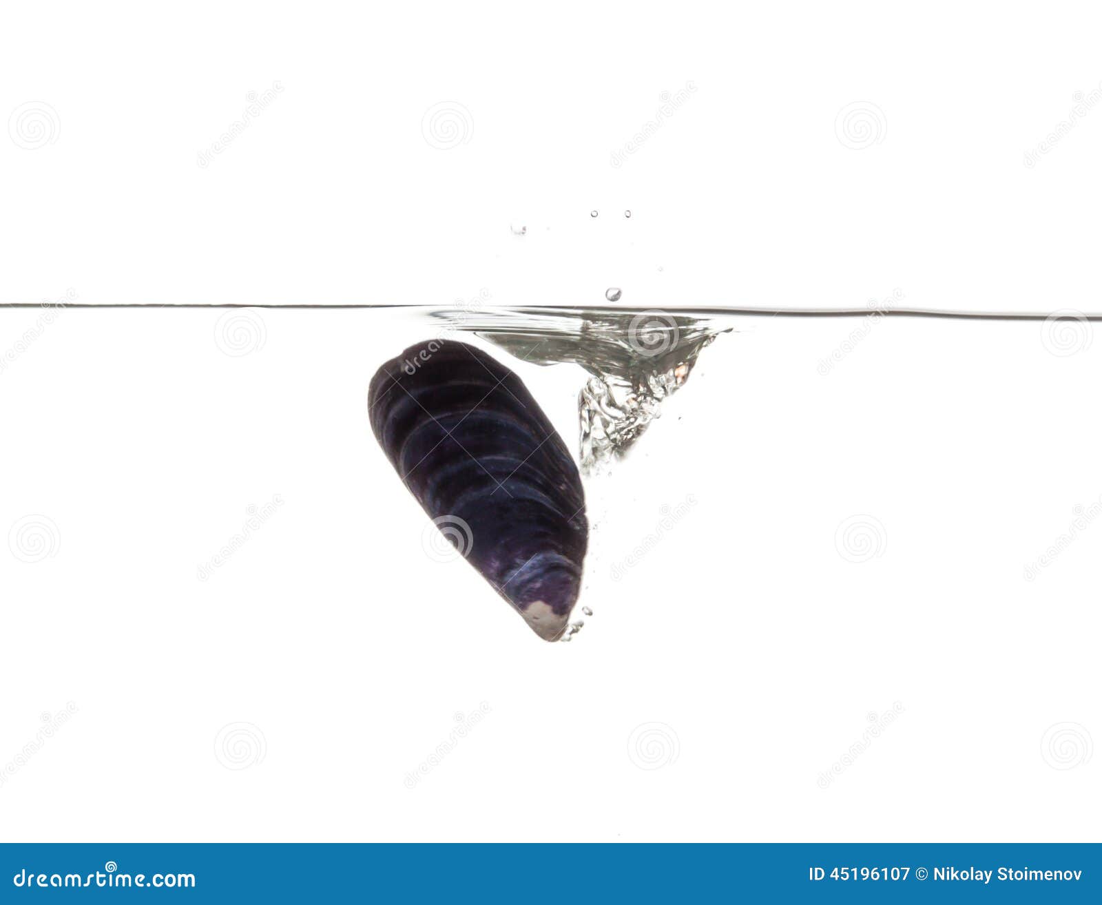 Sinking Mussel stock image. Image of drop, ocean, shell 45196107