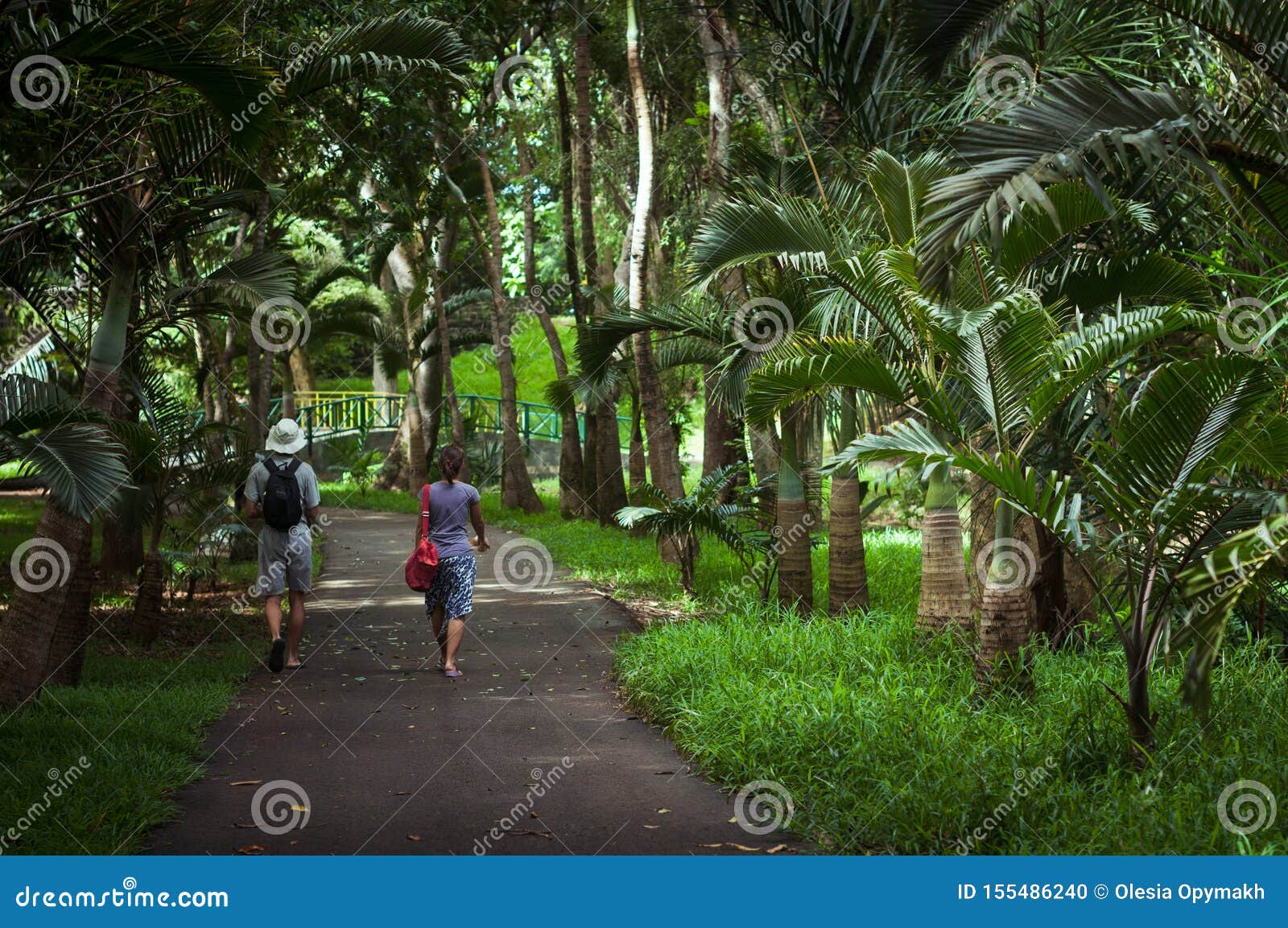 Sir Seewoosagur Ramgoolam Botanical Garden in Mauritius Editorial Image ...